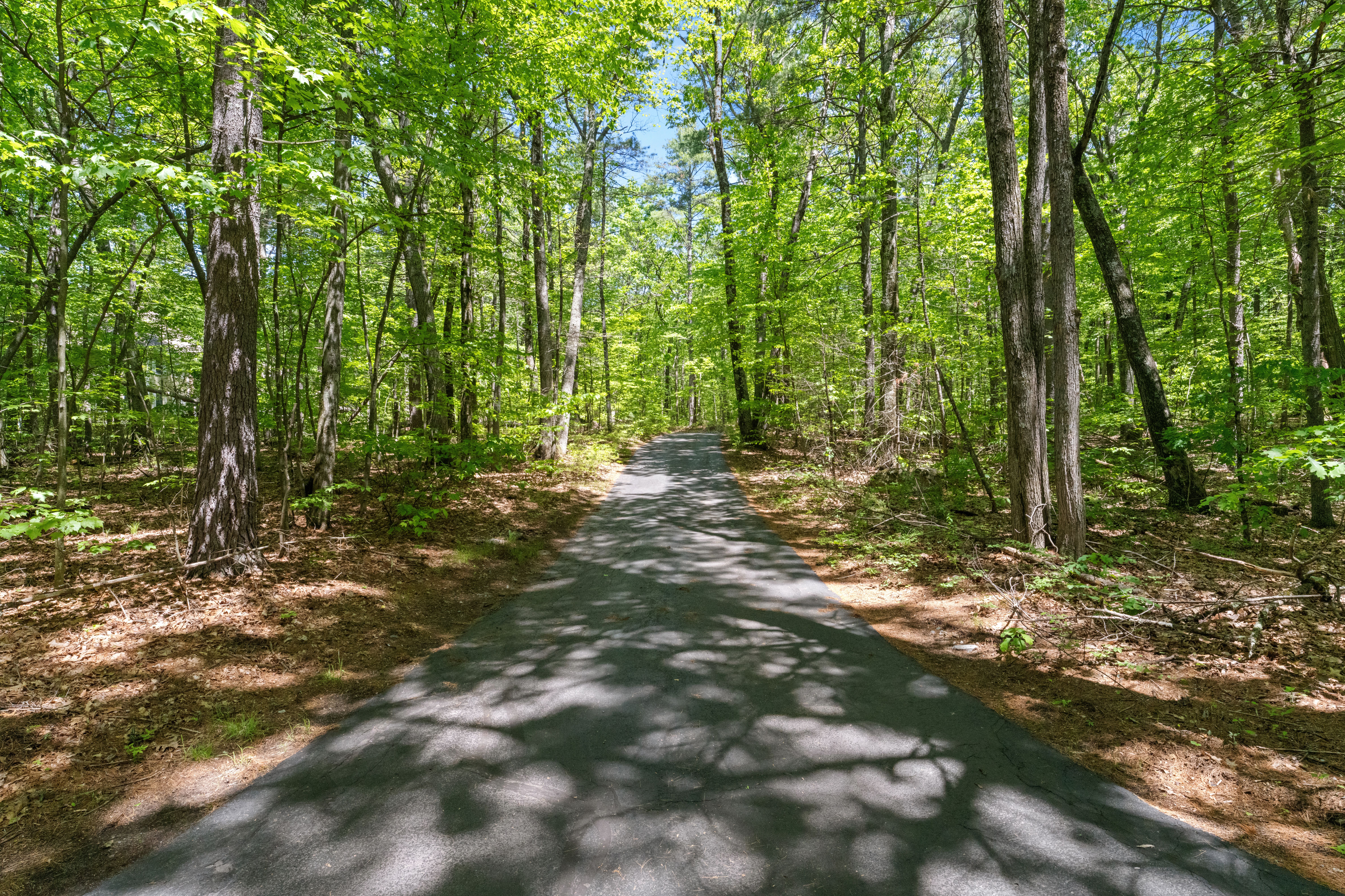  59 Smith Road, Northborough, MA 01532 - 物件實景