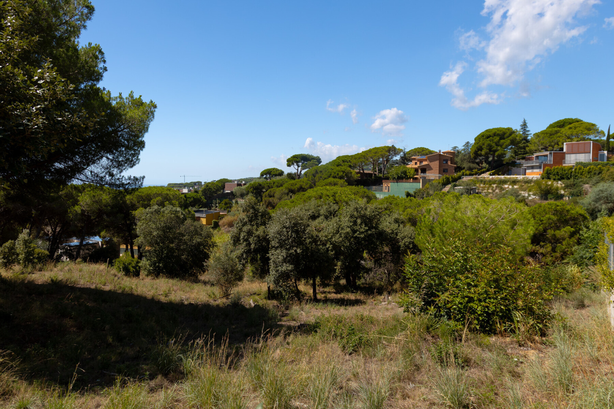  Two adjoining plots in Rocaferrera, Sant Andreu de Llavaneres - Costa BCN - 物件實景