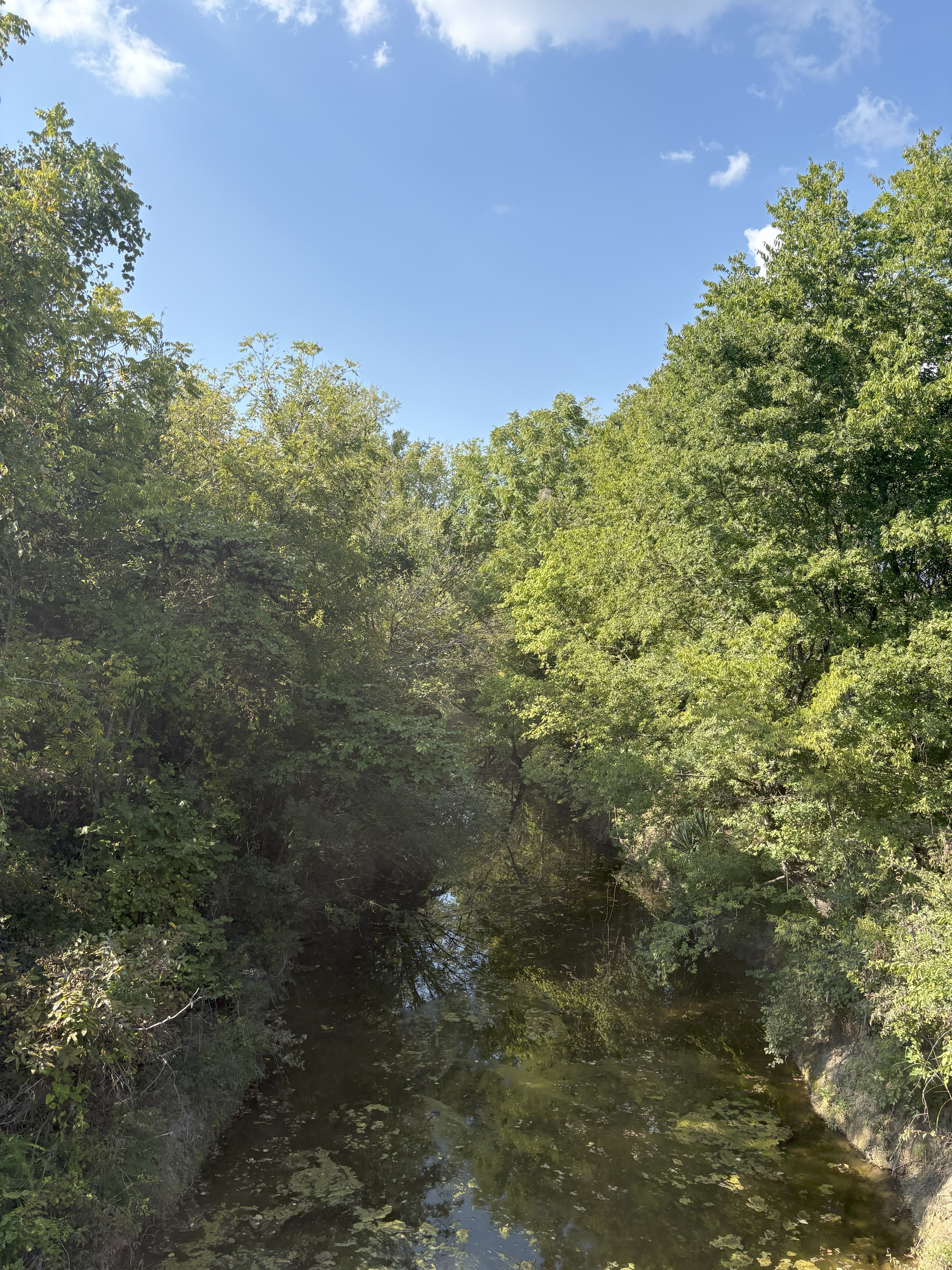 Roxton, Texas, 75477, United States, ,Land,For Sale,1979032