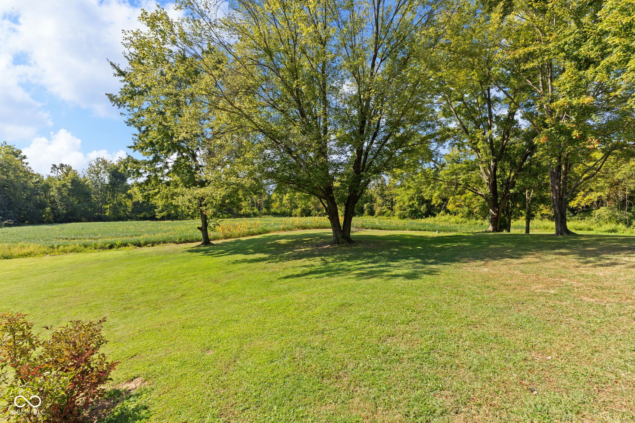 Shelburn, Indiana, 47879, United States, 4 Bedrooms Bedrooms, ,4 BathroomsBathrooms,Residential,For Sale,1925396