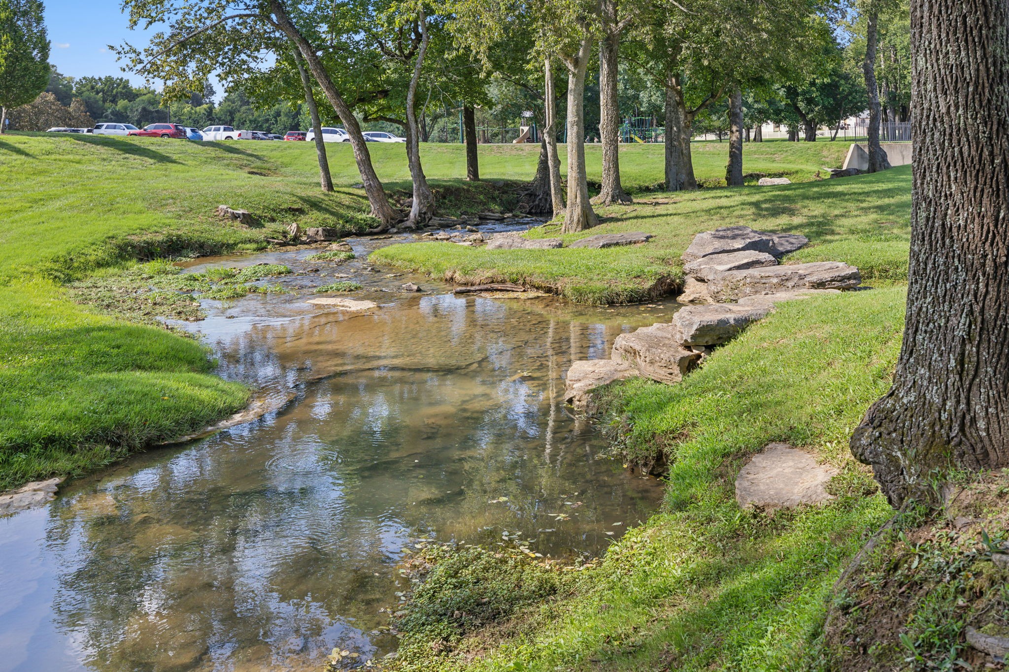  3846 Somers Ln, Thompsons Station, TN, 37179 - 物件實景
