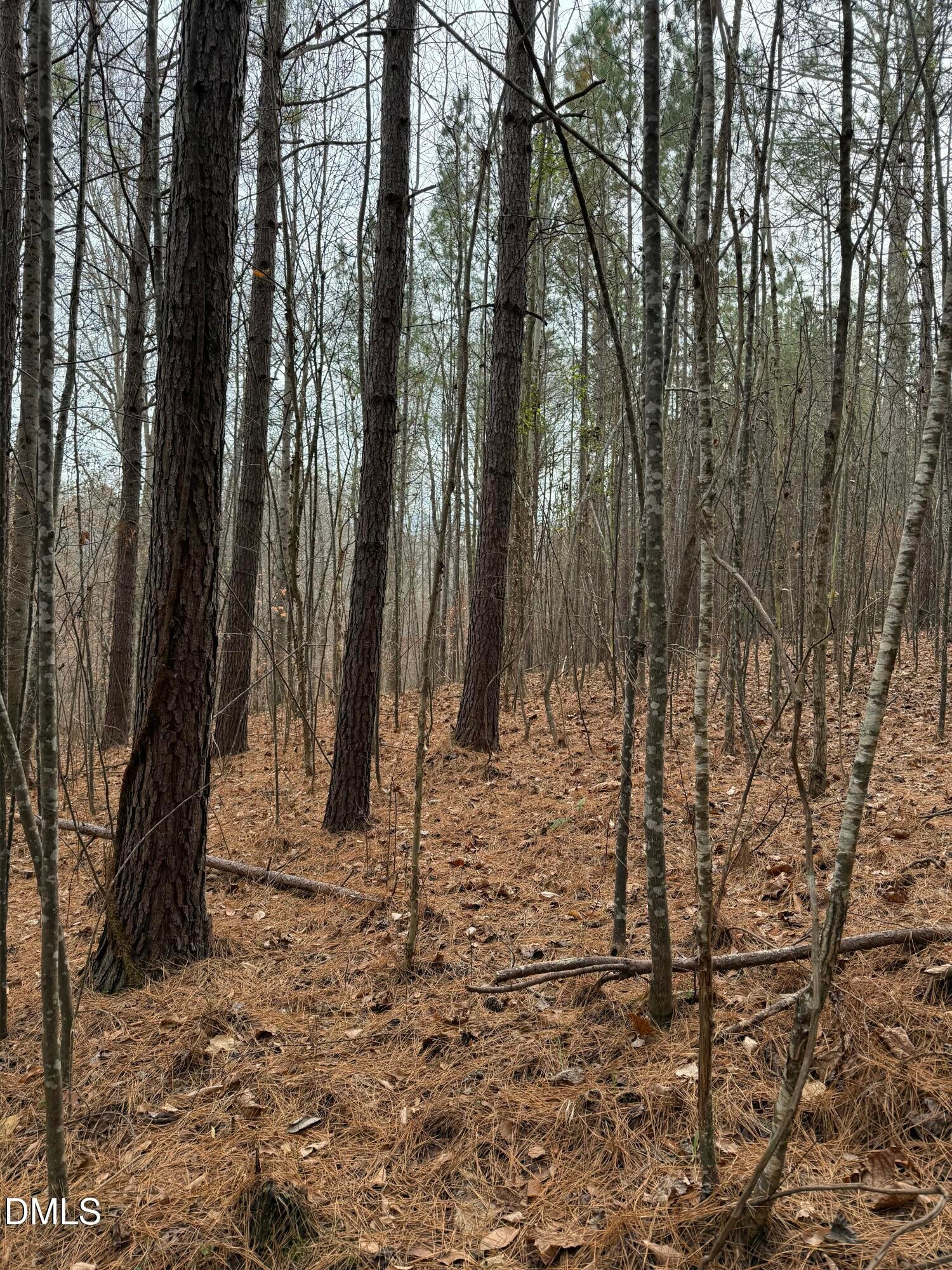 Oxford, North Carolina, 27565, United States, ,Land,For Sale,2000467