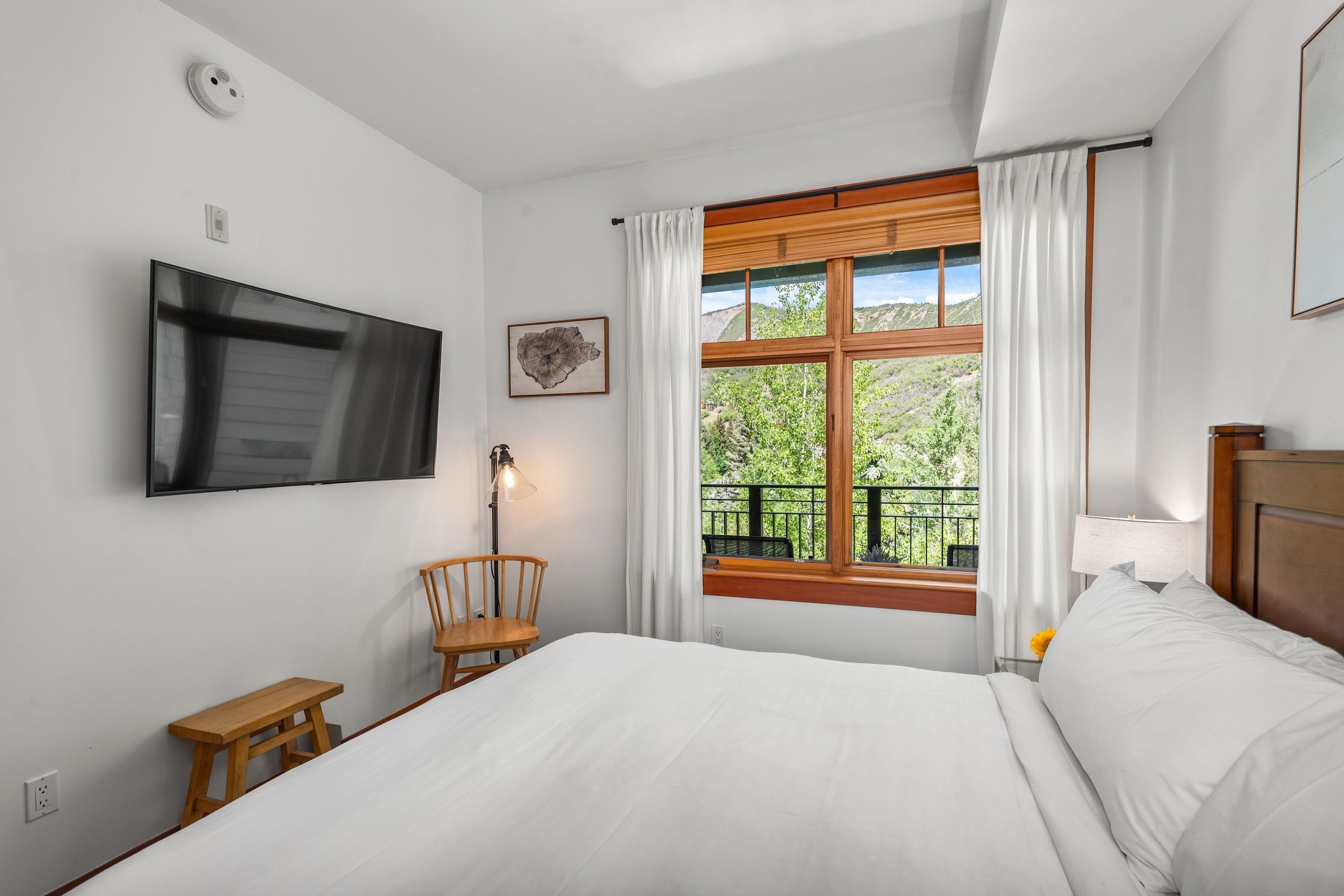  90 Carriage Way, Snowmass Village, CO, 81615 - 物件實景