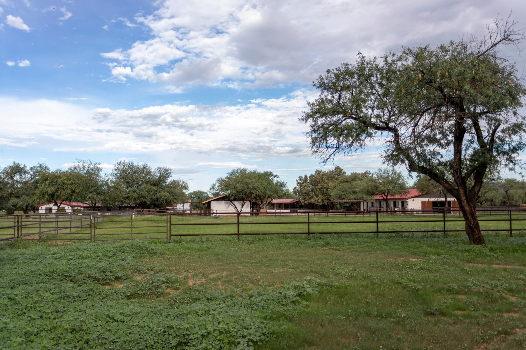  3155 W Elephant Head Road¦Amado, AZ - 物件實景