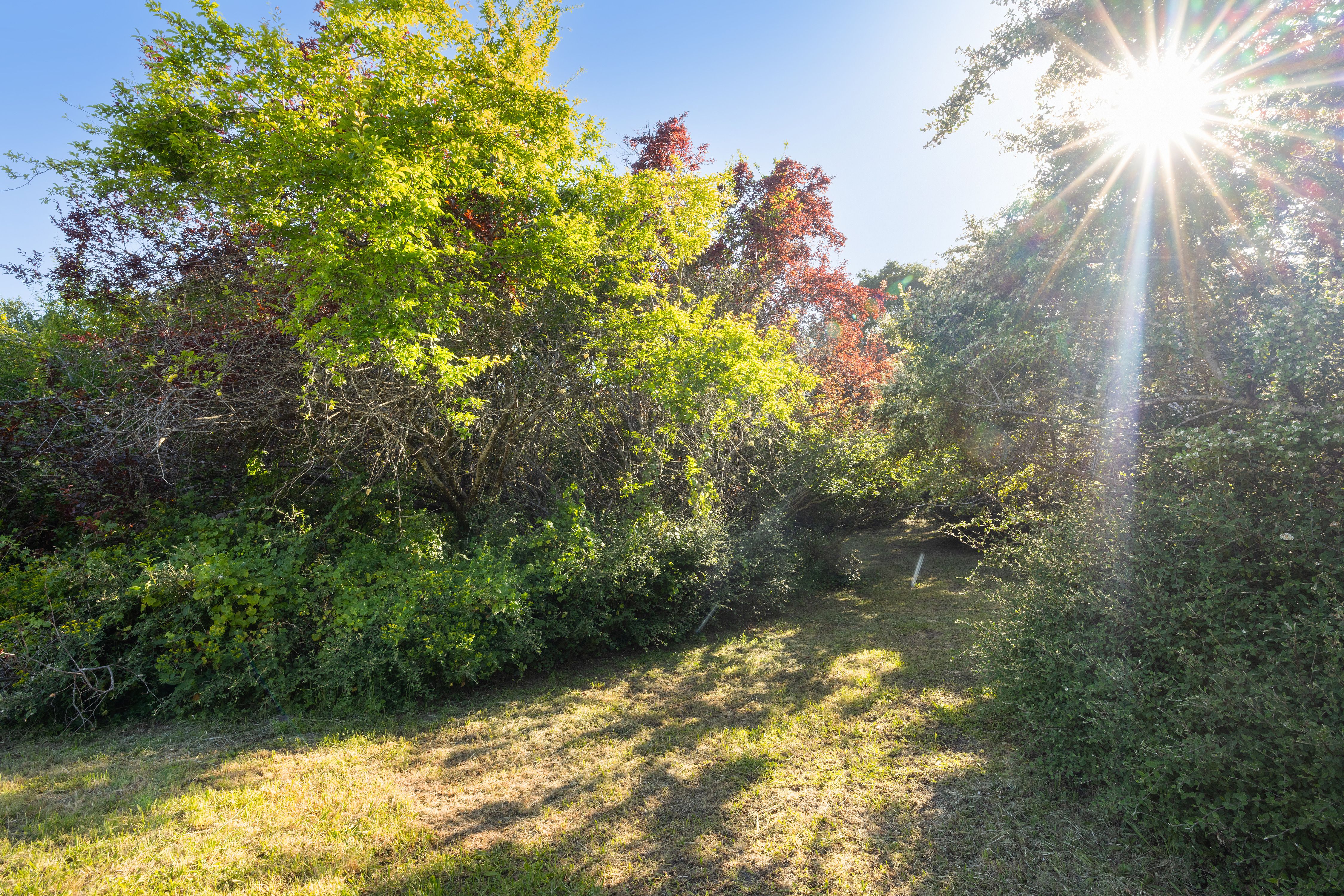  Bolinas Legend – Oldest Residence on Coastal Marin - 物件實景