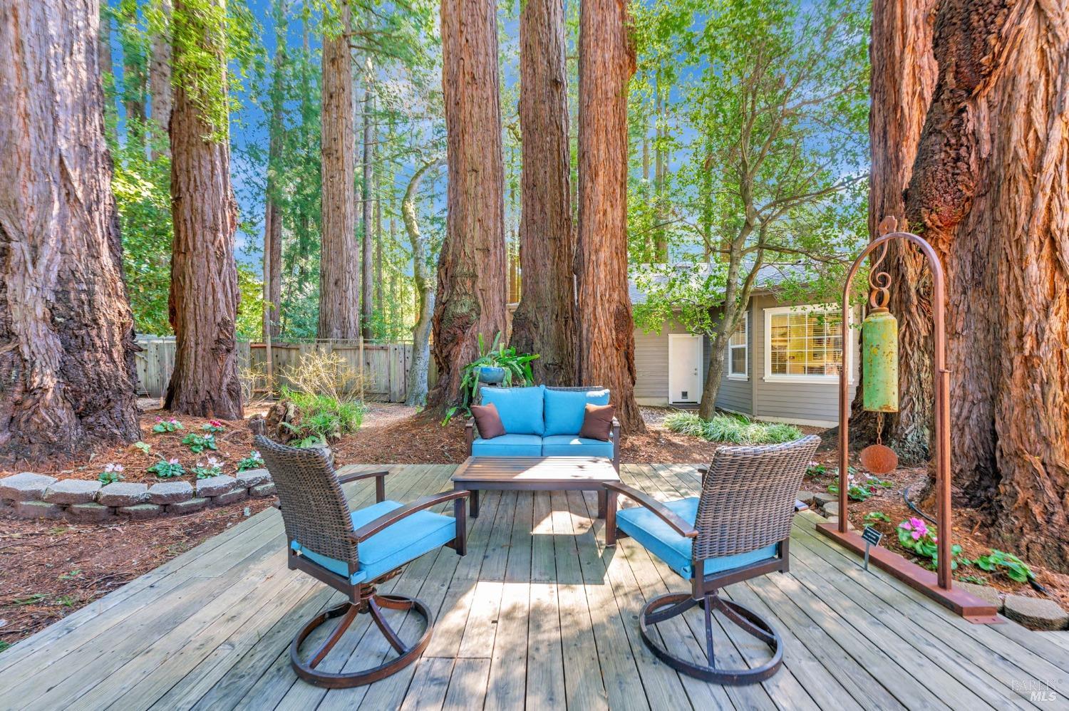 Sebastopol, California, 95472, United States, 4 Bedrooms Bedrooms, ,3 BathroomsBathrooms,Residential,For Sale,1989317