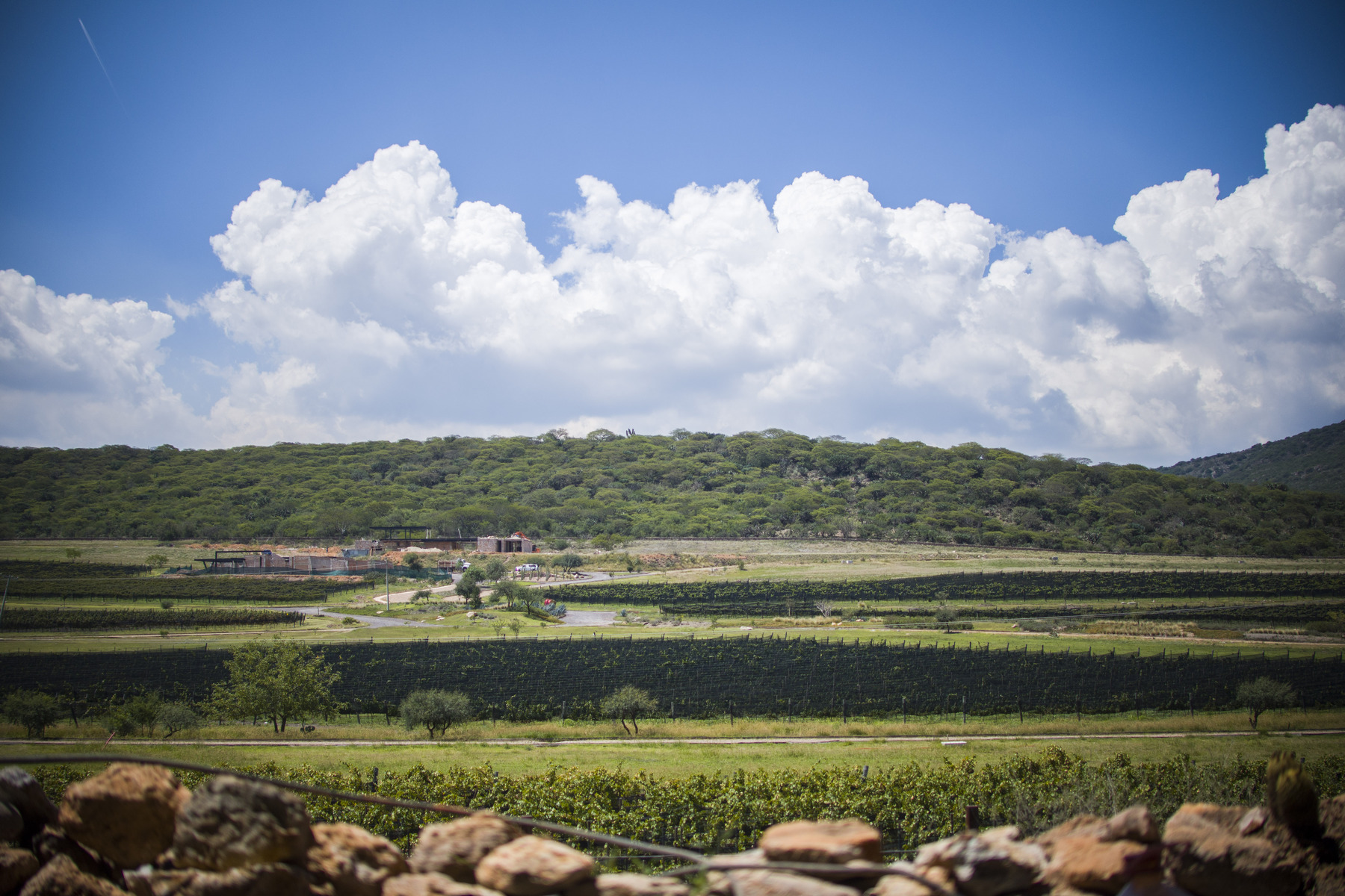  TERRENO PUERTA DEL LOBO - 物件實景