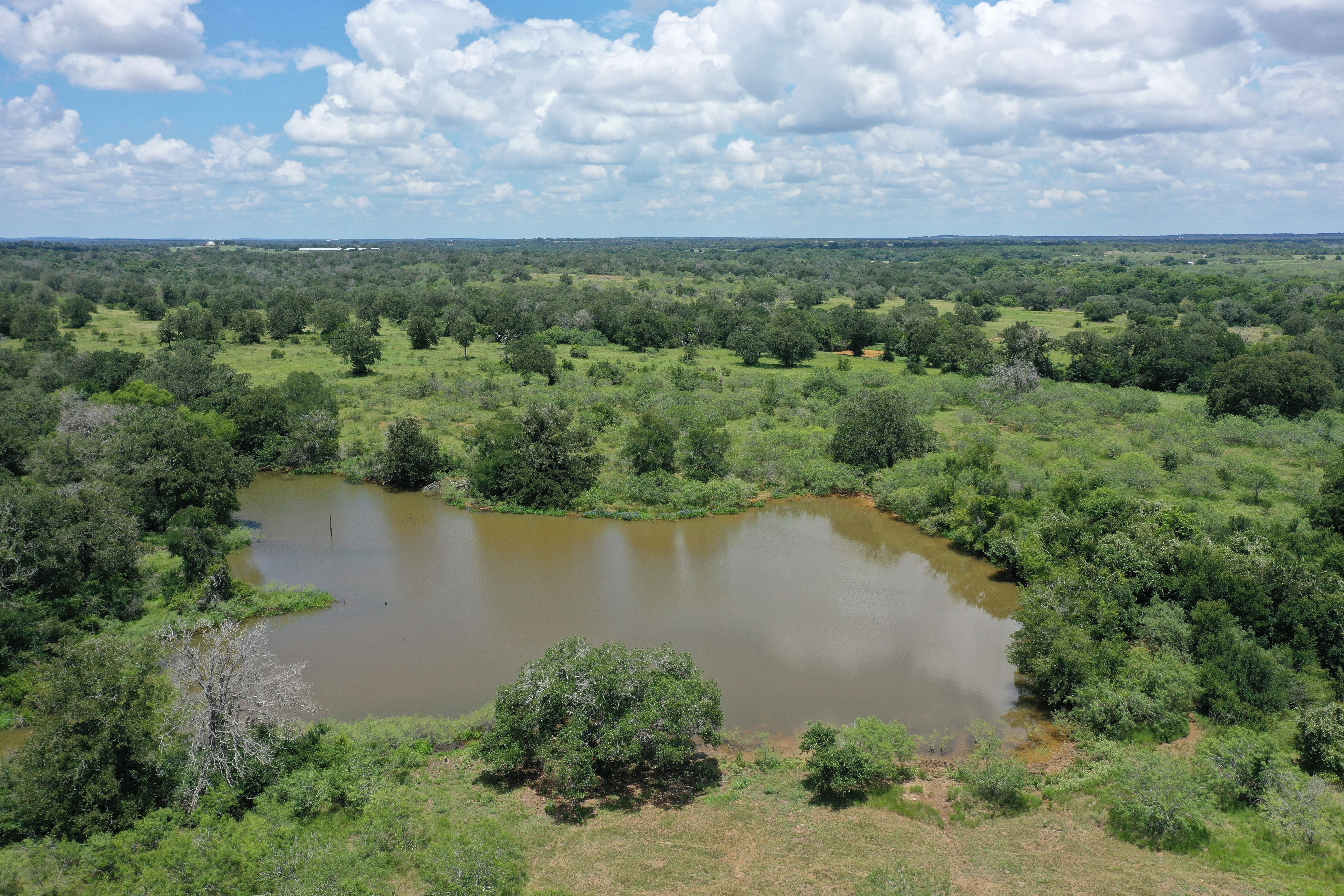  Buck Branch Ranch - 物件實景
