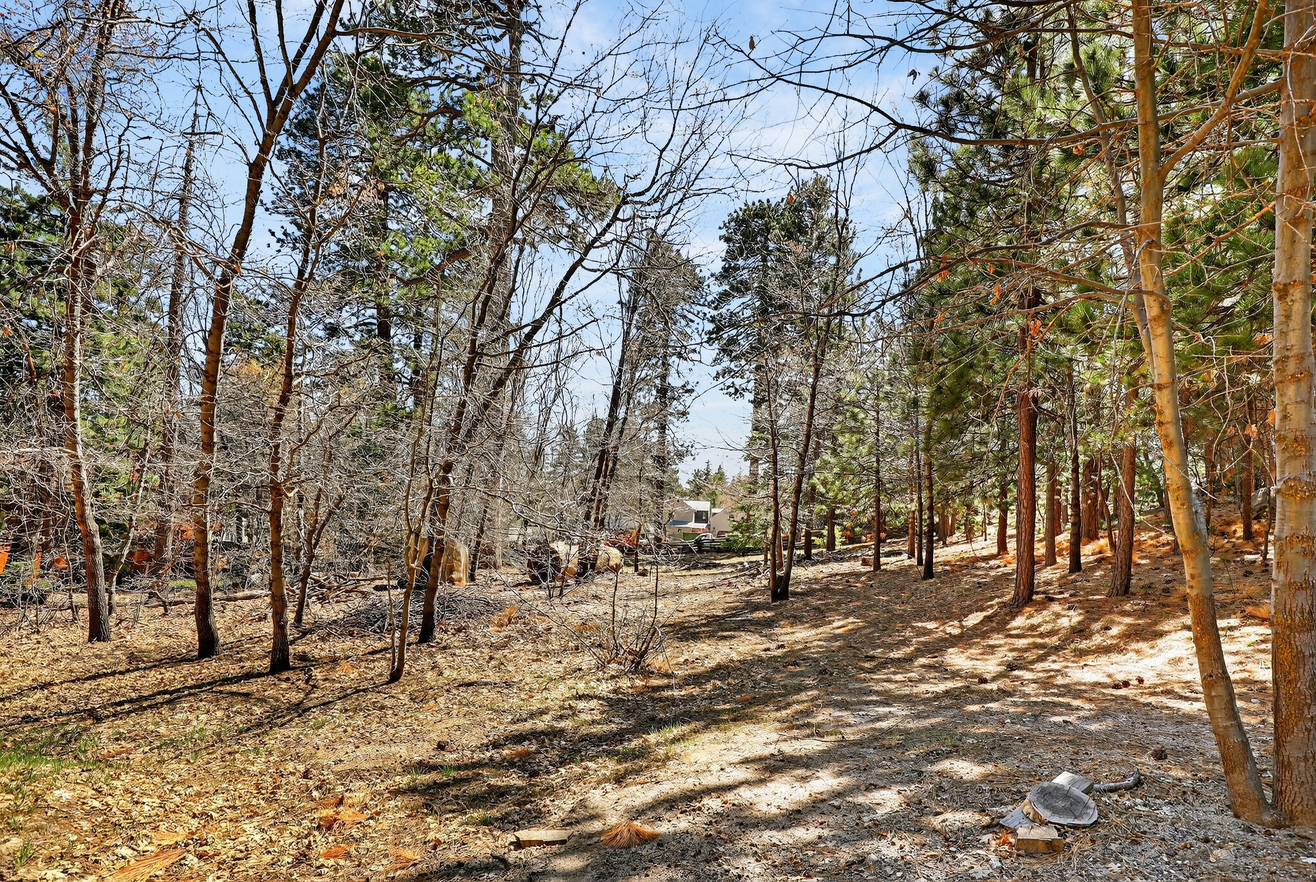  0 Cepu Rd, Running Springs , CA 92382 - 物件實景