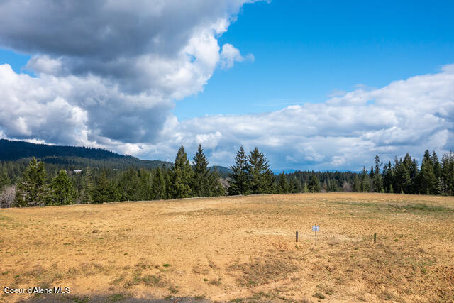 Coeur d'Alene, Idaho, 83814, United States, ,Residential,For Sale,1942579