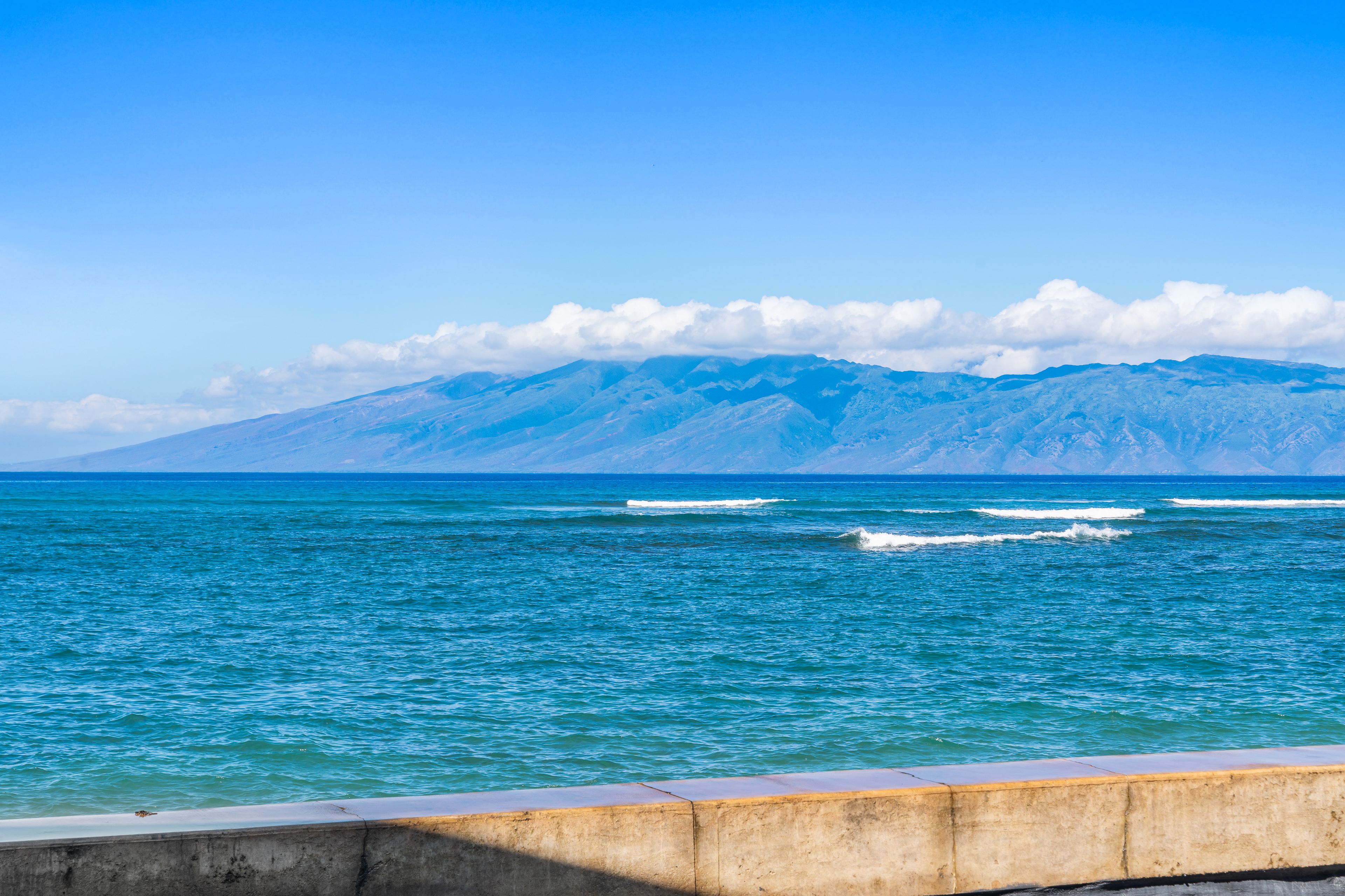  Oceanfront Living - 物件實景