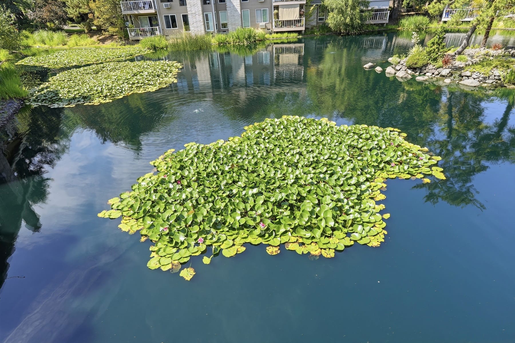  8229 SW MARINERS DR Wilsonville, OR 97070 - 物件實景