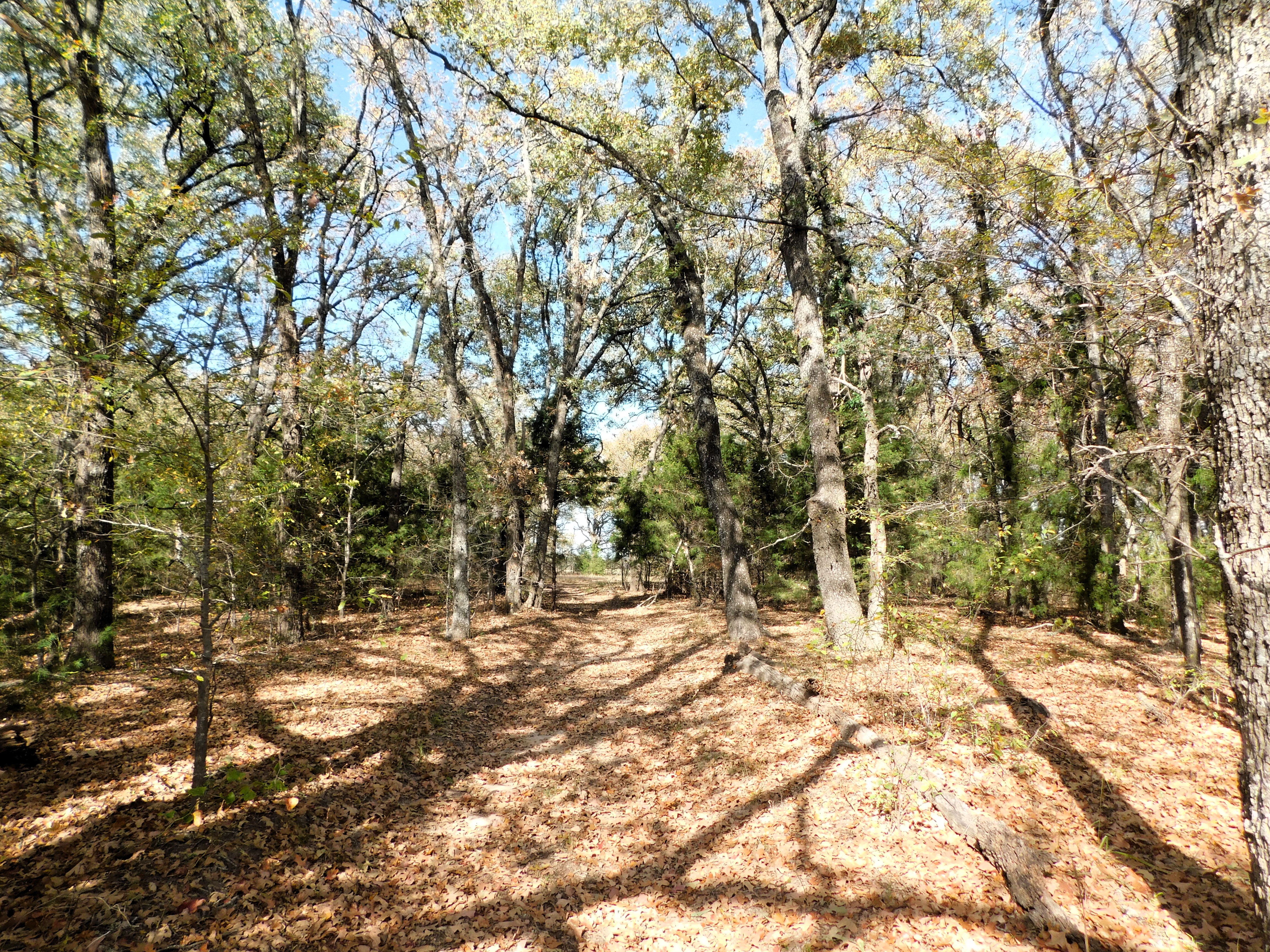CR 3605, Quinlan, Texas, 75474, United States, ,Residential,For Sale,CR 3605,1407184