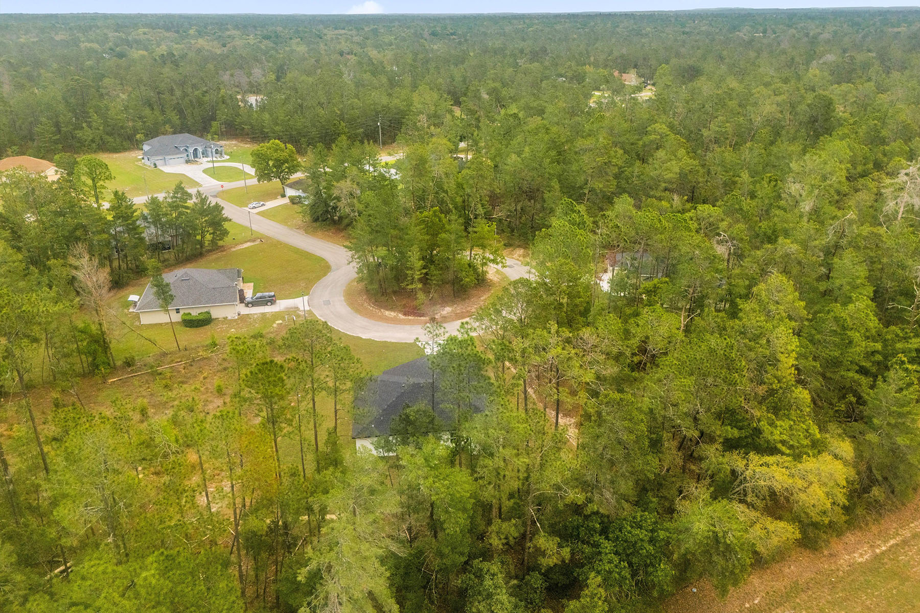  HOMOSASSA - 物件實景