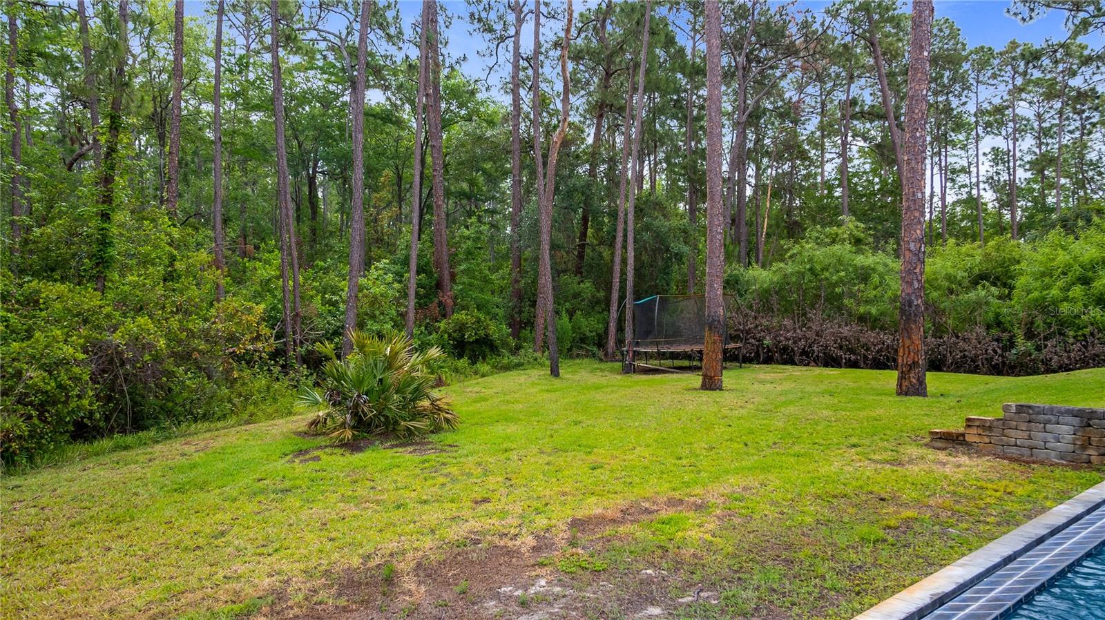 CLERMONT, Florida, 34711, United States, 5 Bedrooms Bedrooms, ,5 BathroomsBathrooms,Residential,For Sale,1794342