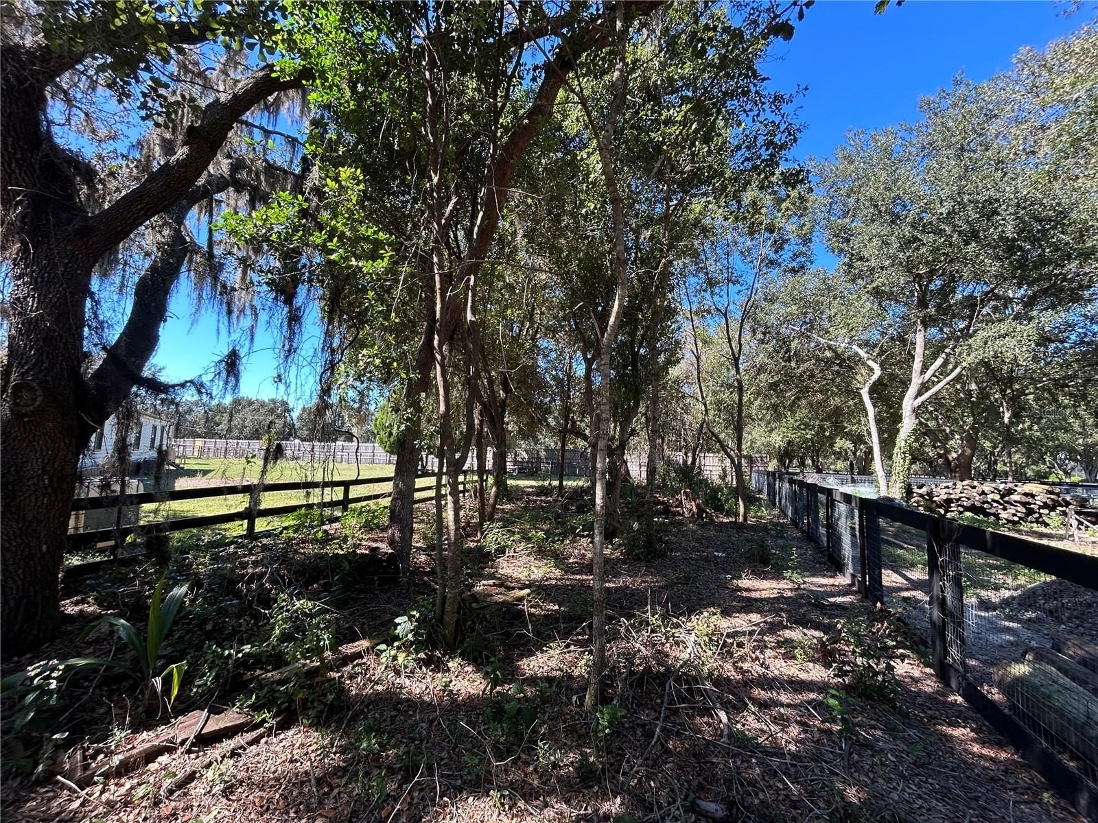 POLK CITY, Florida, 33868, United States, 5 Bedrooms Bedrooms, ,3 BathroomsBathrooms,Residential,For Sale,1984061