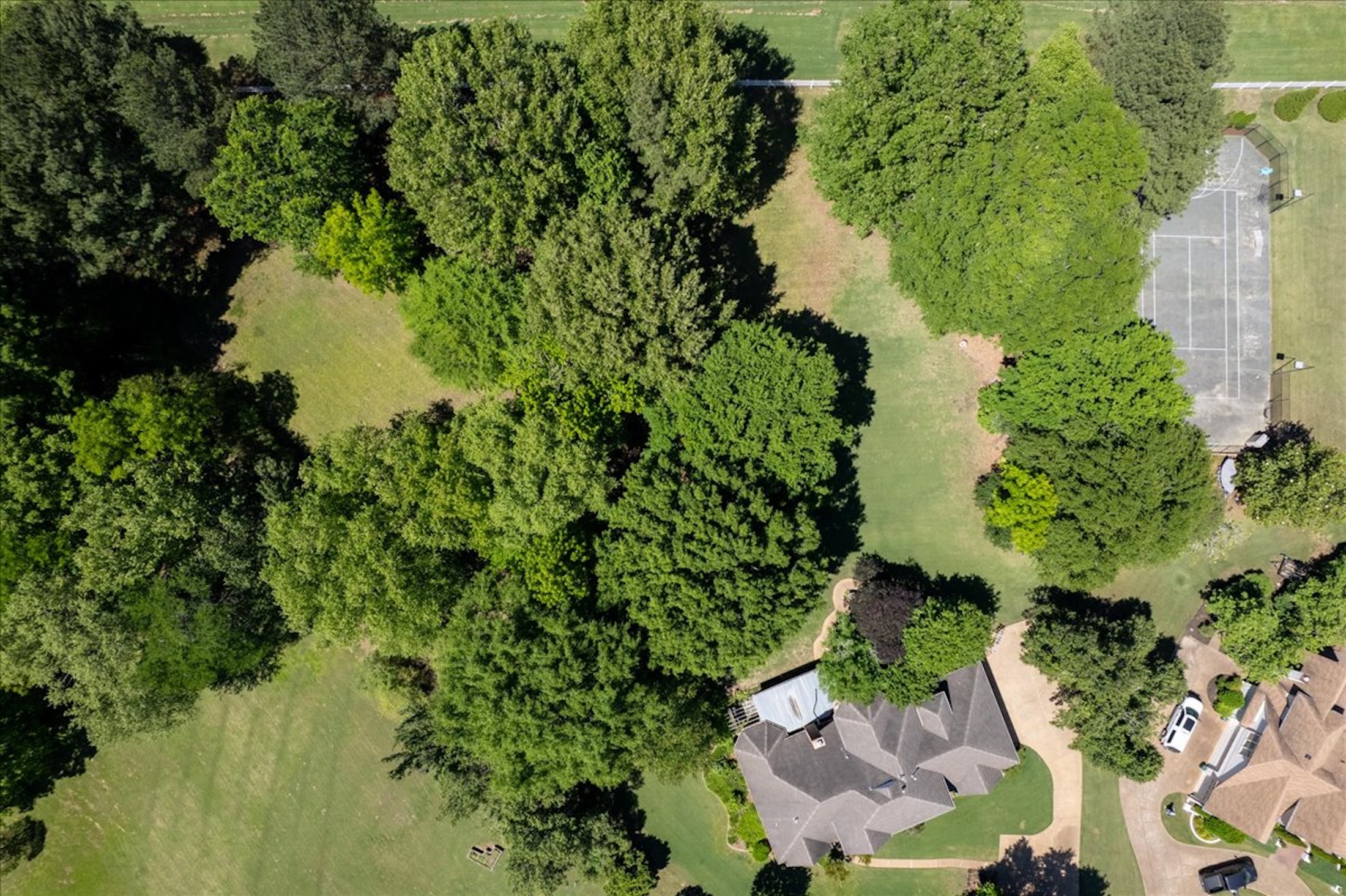  4731 Mallard Lake Cove, Collierville, TN, 38017 - 物件實景