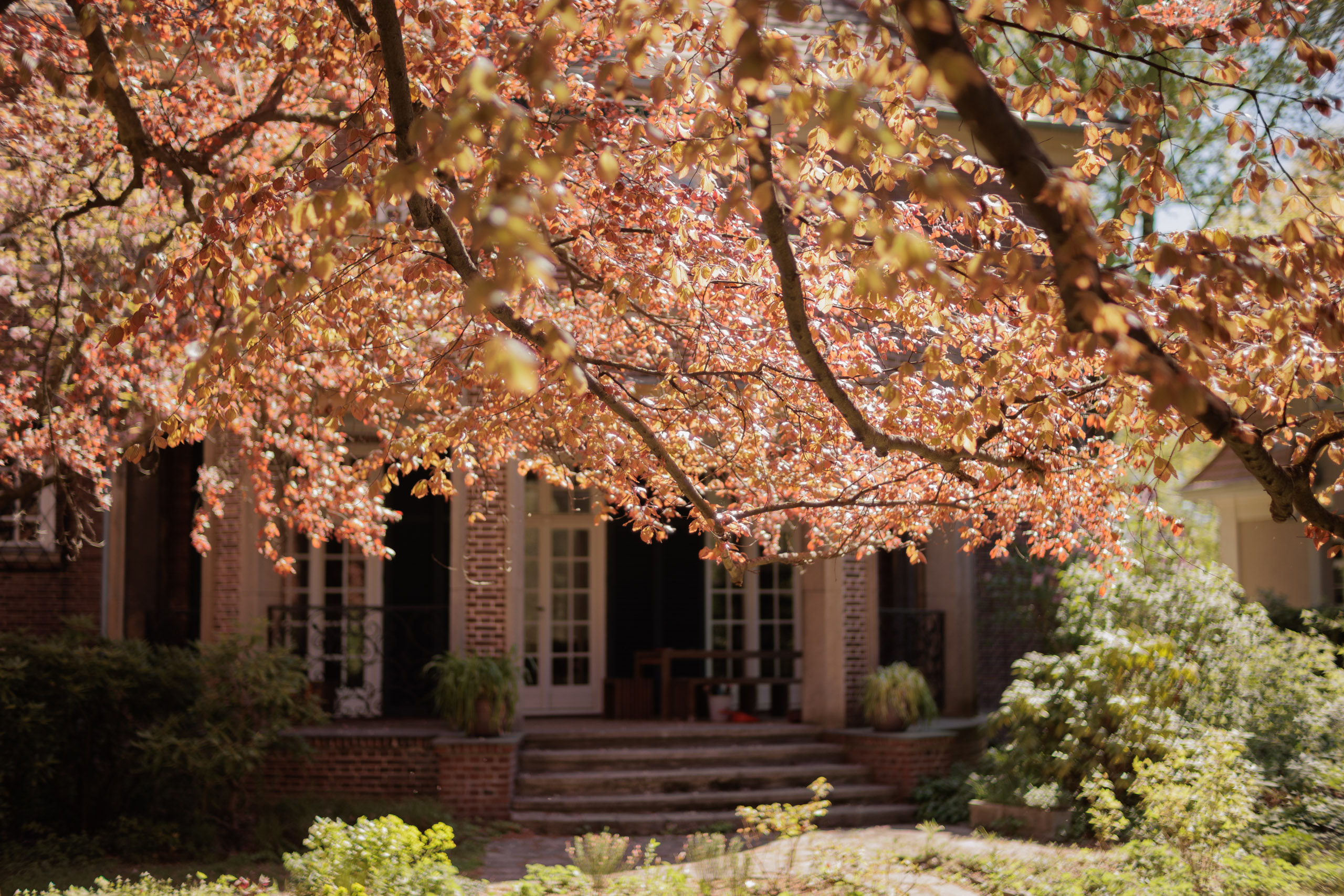  Villa Edelstein - 物件實景