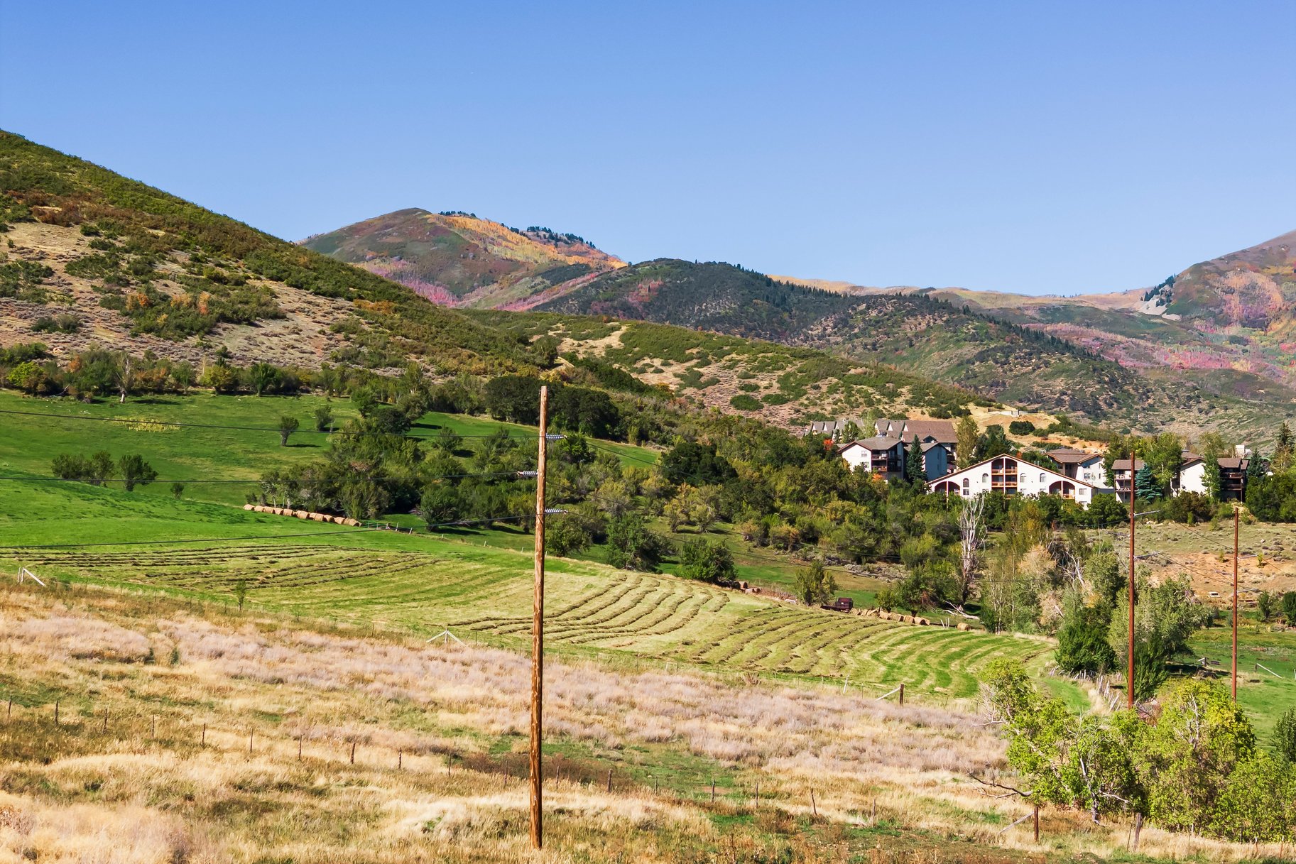  Rare 4-Acre Estate Property overlooking Midway - 物件實景