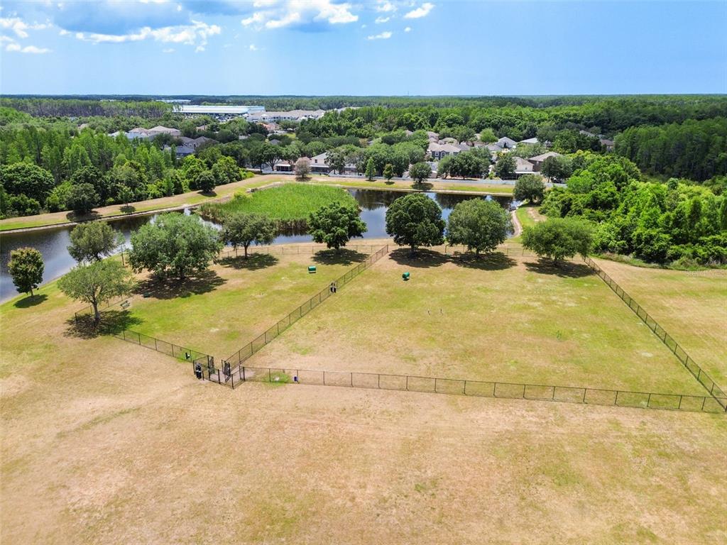 Land O Lakes, Florida, 34638, United States, 4 Bedrooms Bedrooms, ,4 BathroomsBathrooms,Residential,For Sale,1921134