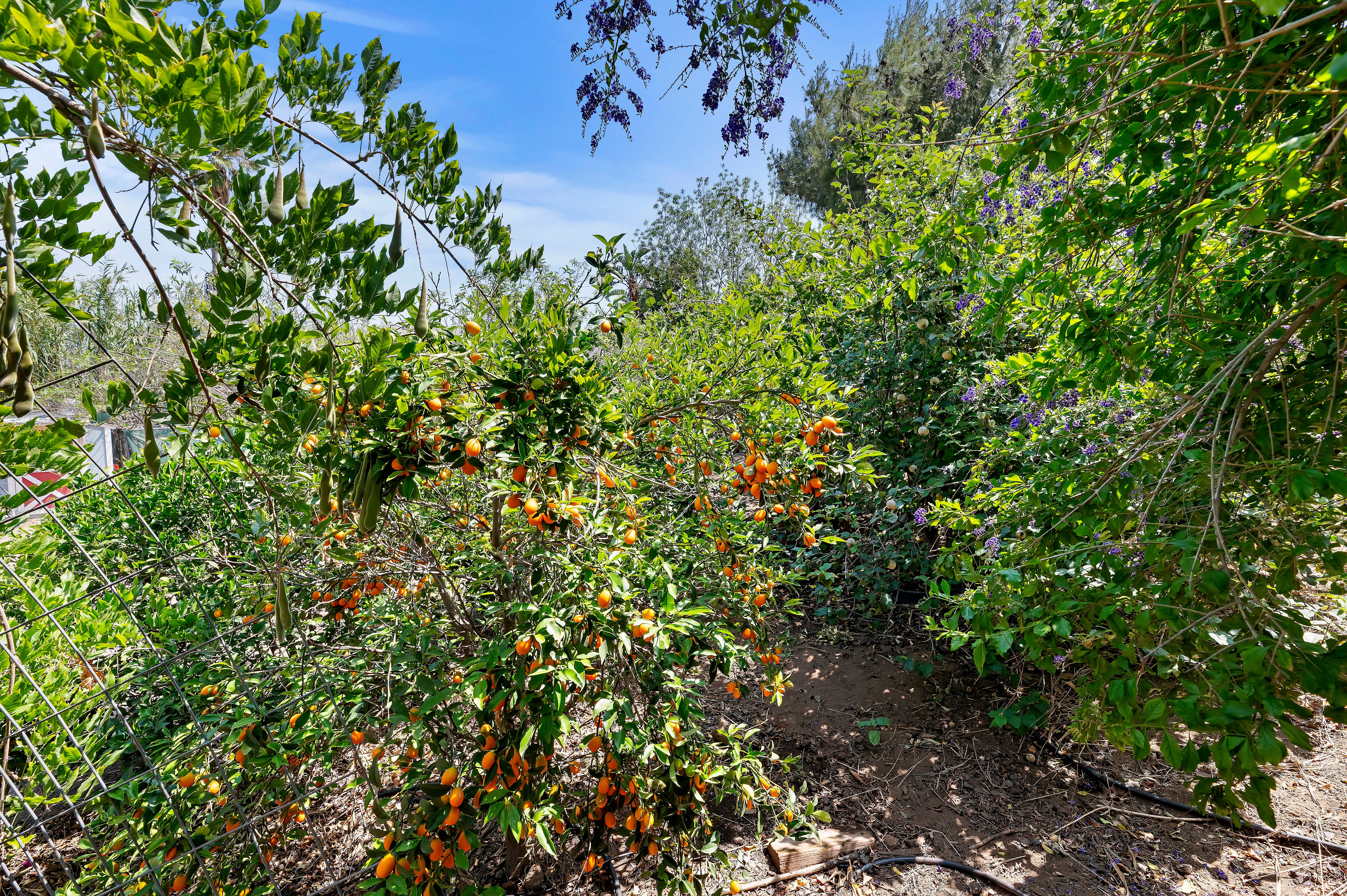  115 East Street, Norco, CA 92860 - 物件實景