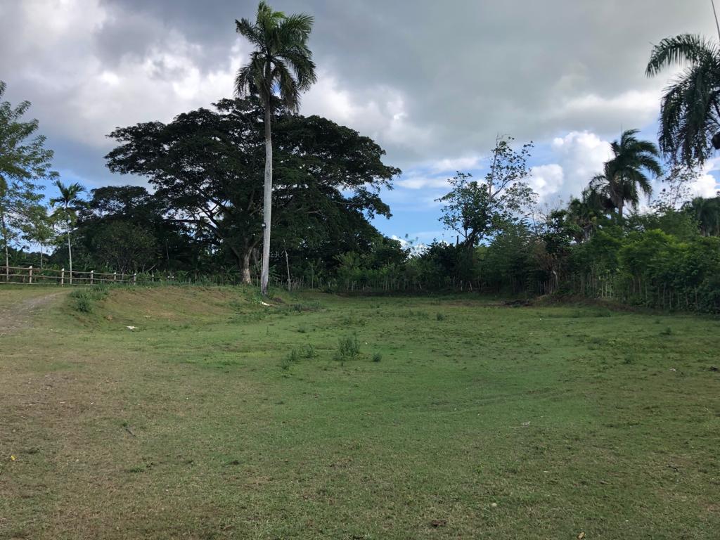 Gaspar Hernandez, DO, ,3 BathroomsBathrooms,Land,For Sale,1618505