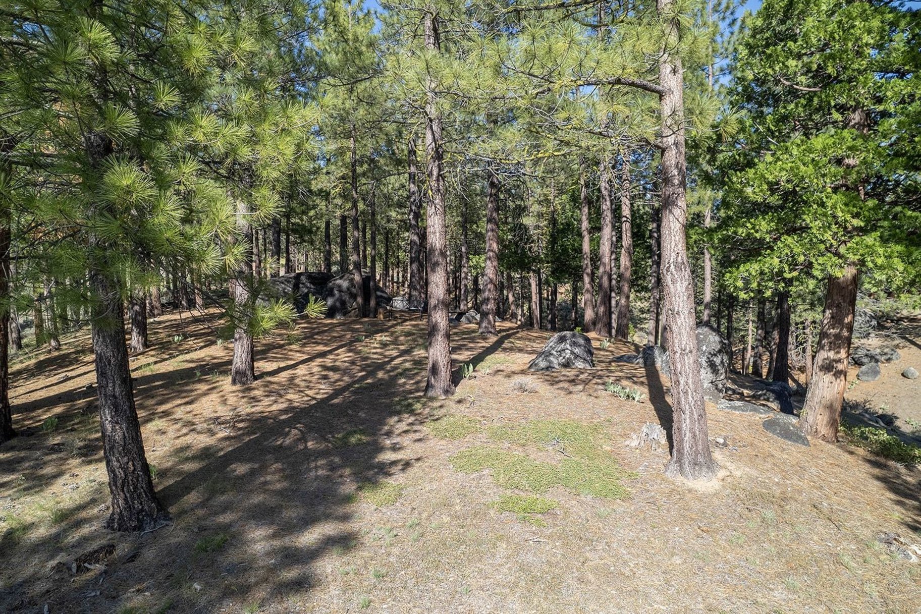  2.69 Private Acres in Nakoma with Stunning Eureka Peak Views - 物件實景