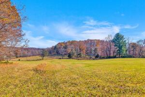 Fincastle, Virginia, 24090, United States, ,Residential,For Sale,1989448