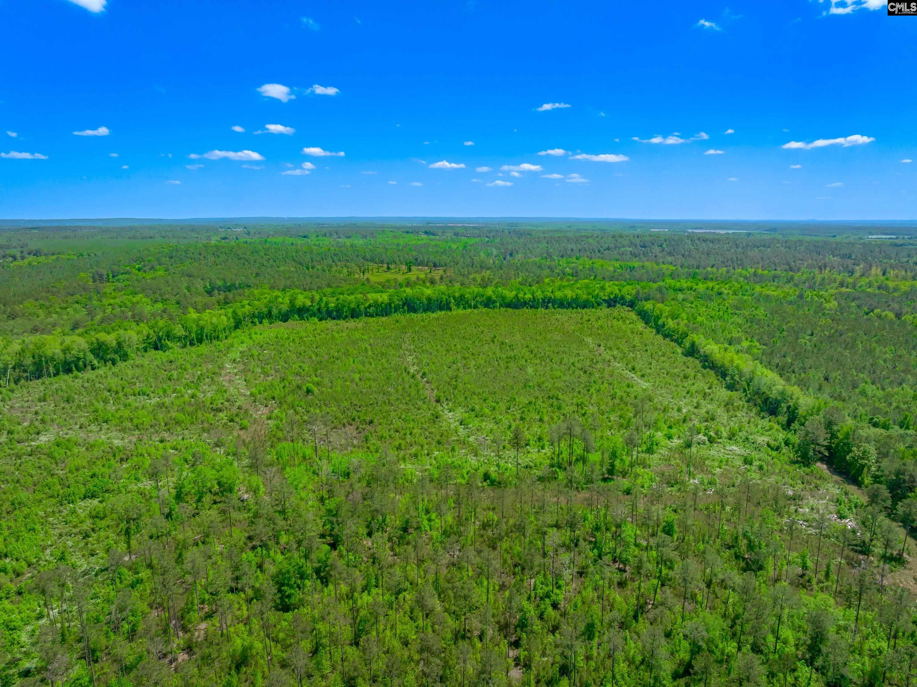  377 Sweet Street  Rembert, SC - 物件實景