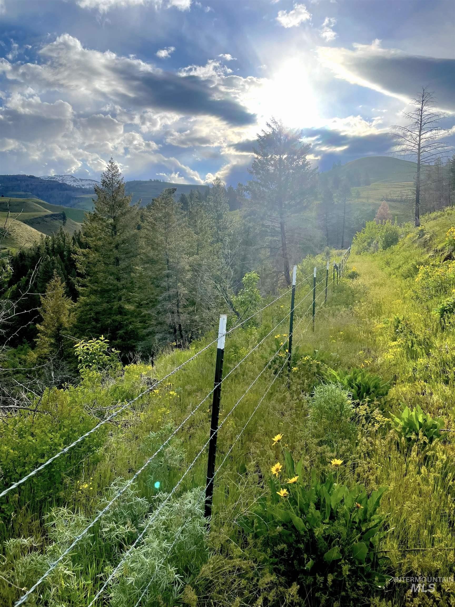 Council, Idaho, 83612, United States, ,Residential,For Sale,1921921