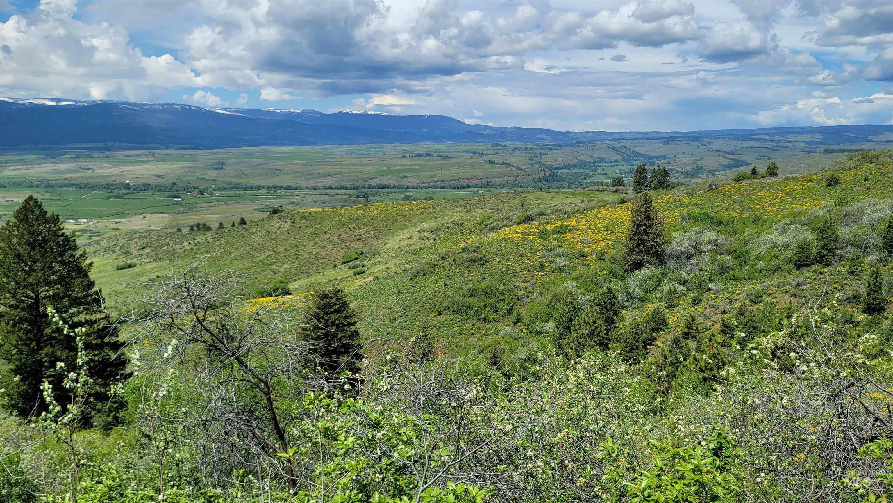 Council, Idaho, 83612, United States, 3 Bedrooms Bedrooms, ,2 BathroomsBathrooms,Residential,For Sale,1974827