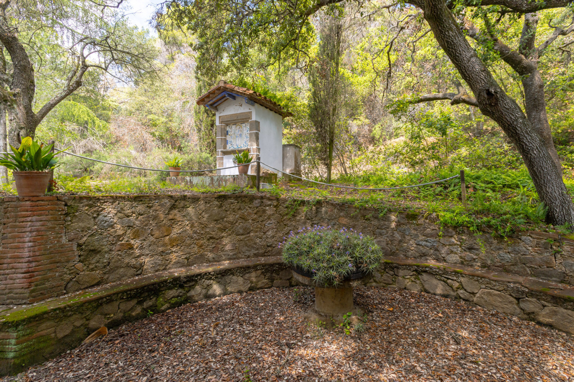  Architectural jewel of the XVI century in a natural park. - 物件實景