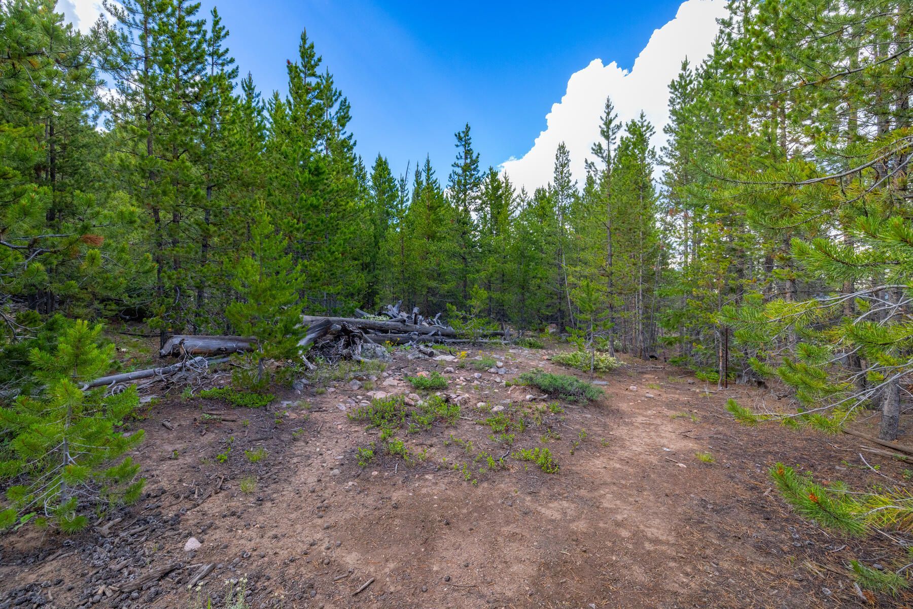  517 Giberson Lane, Frisco, CO, 80443 - 物件實景