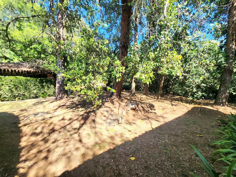 Temascaltepec, Estado de méxico, 51300, Mexico, 7 Bedrooms Bedrooms, ,7 BathroomsBathrooms,Residential,For Sale,1942225