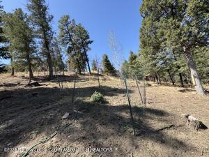Ruidoso, New Mexico, 88345, United States, 3 Bedrooms Bedrooms, ,3 BathroomsBathrooms,Residential,For Sale,1770584
