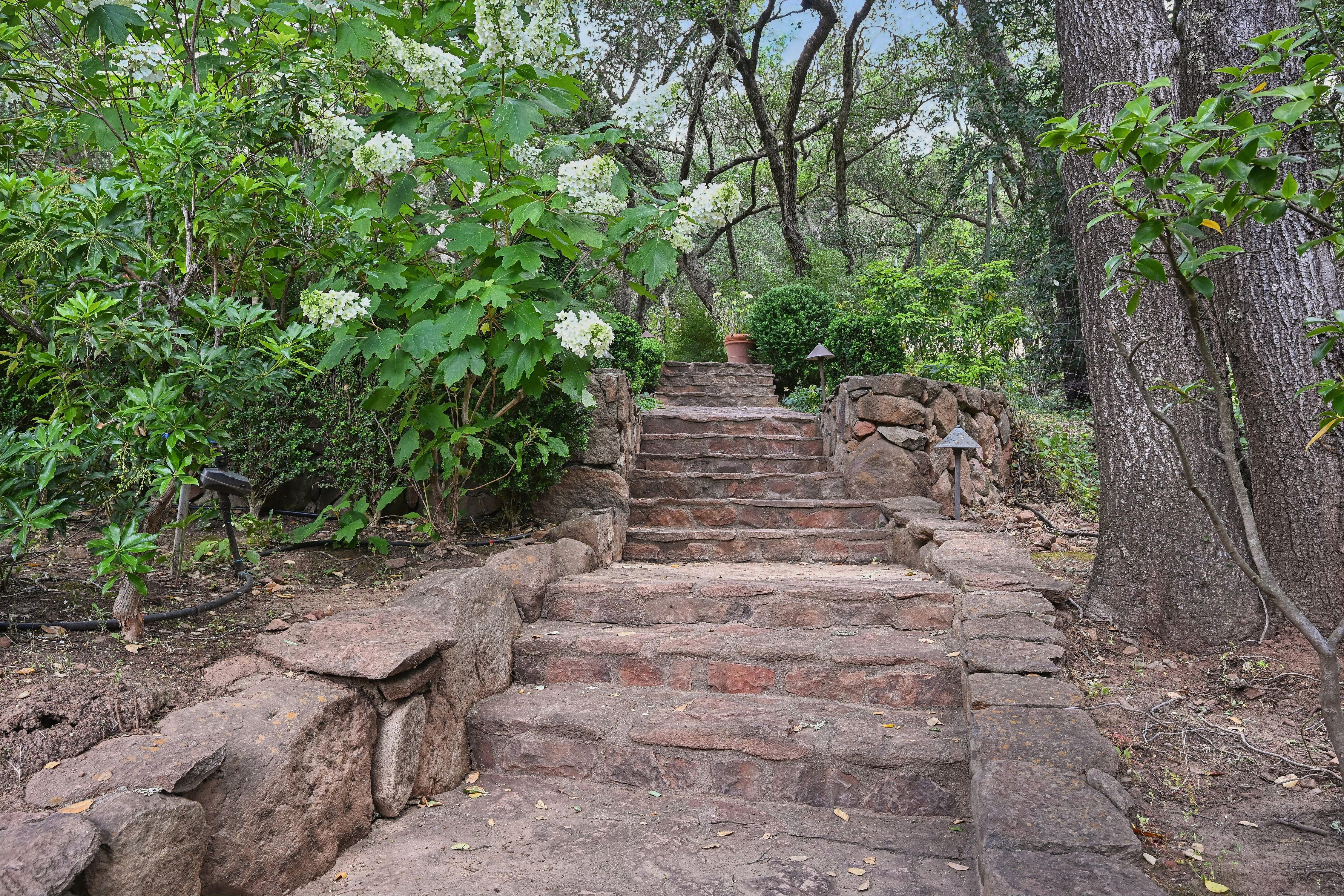  Iconic Silverado Trail Gated Estate - 物件實景