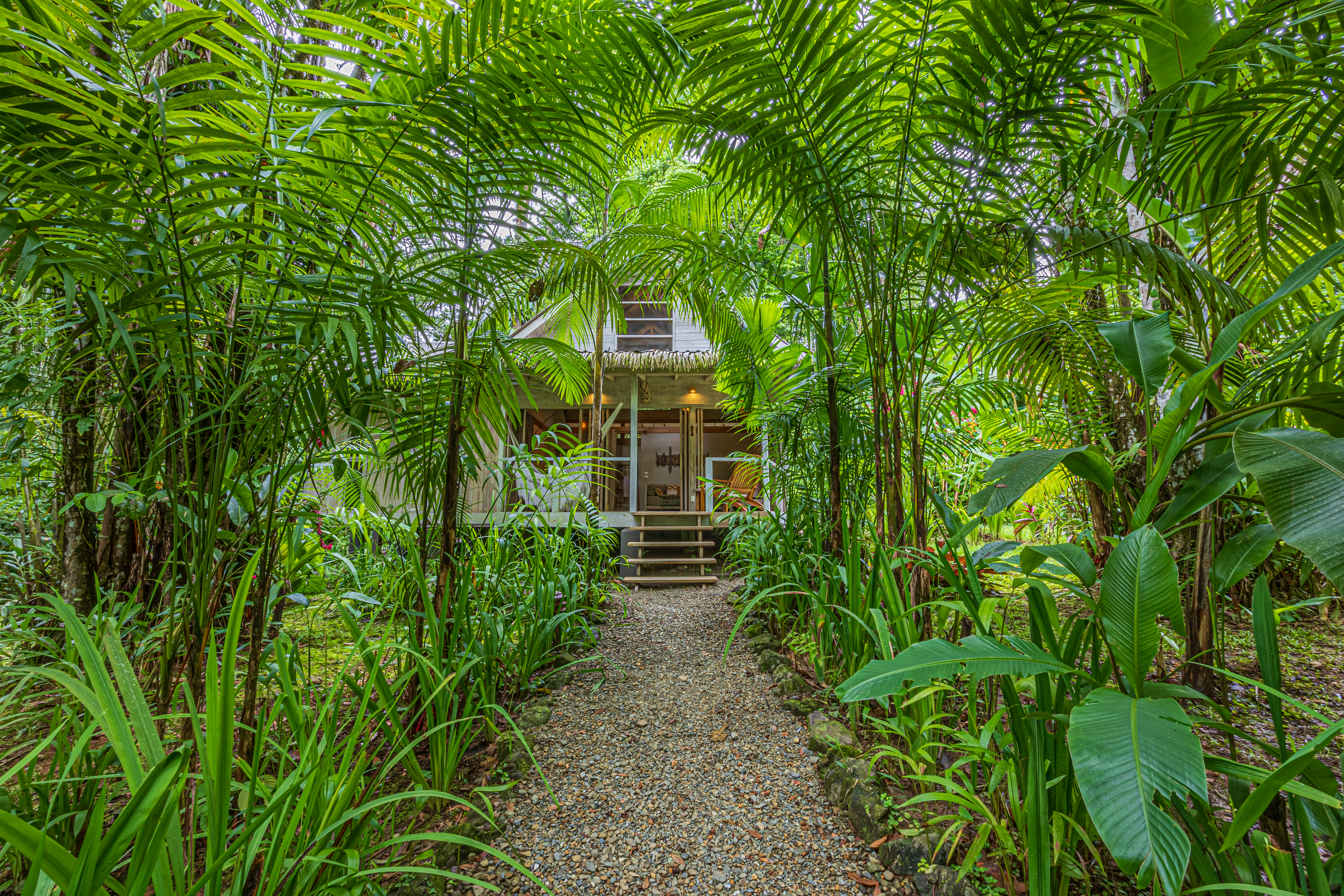 Golfito, Puntarenas, CR, 15 Bedrooms Bedrooms, ,13 BathroomsBathrooms,Residential,For Sale,1903279