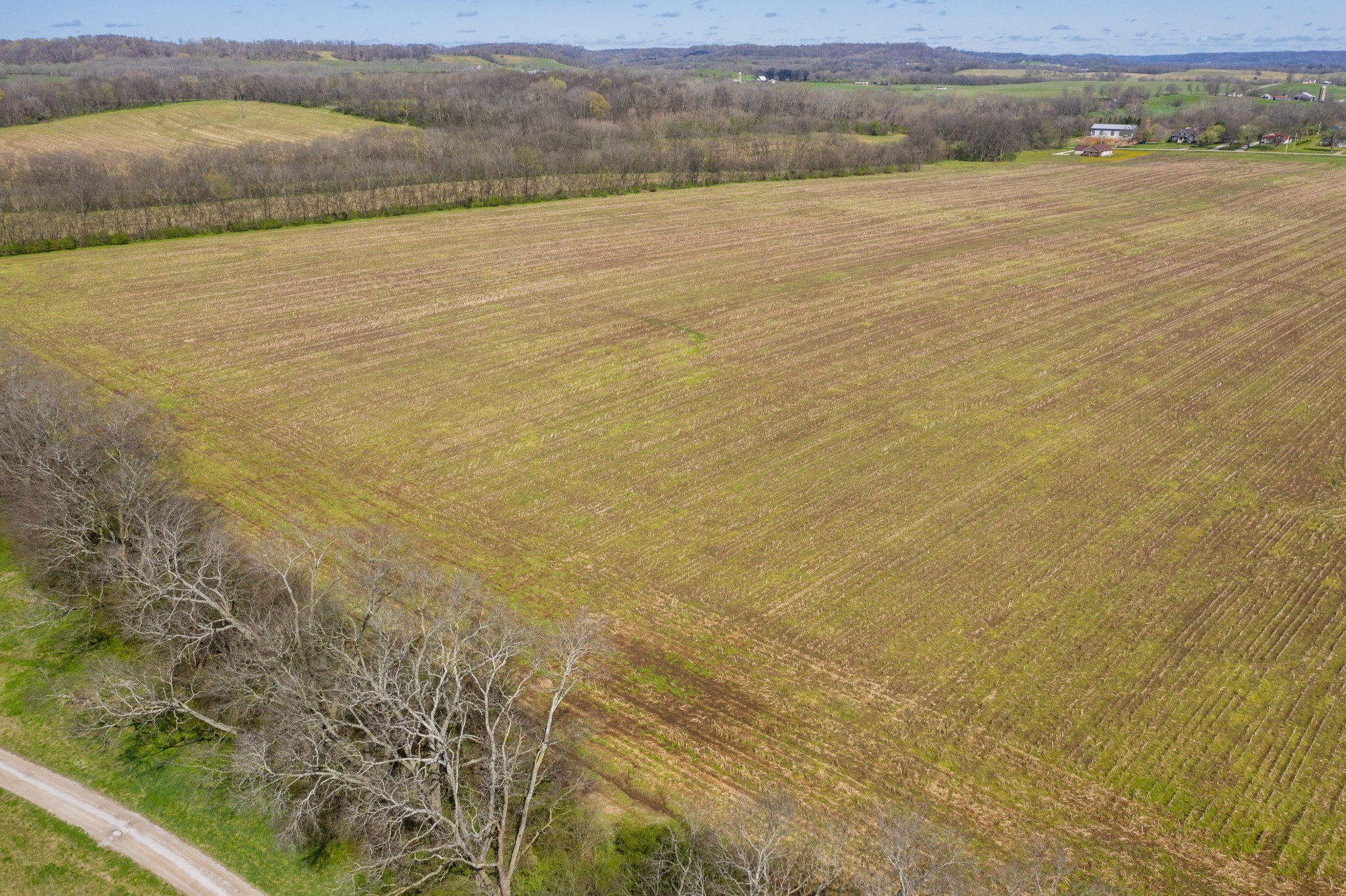  0 South Cross Bridges Road, Mount Pleasant, TN, 38474 - 物件實景