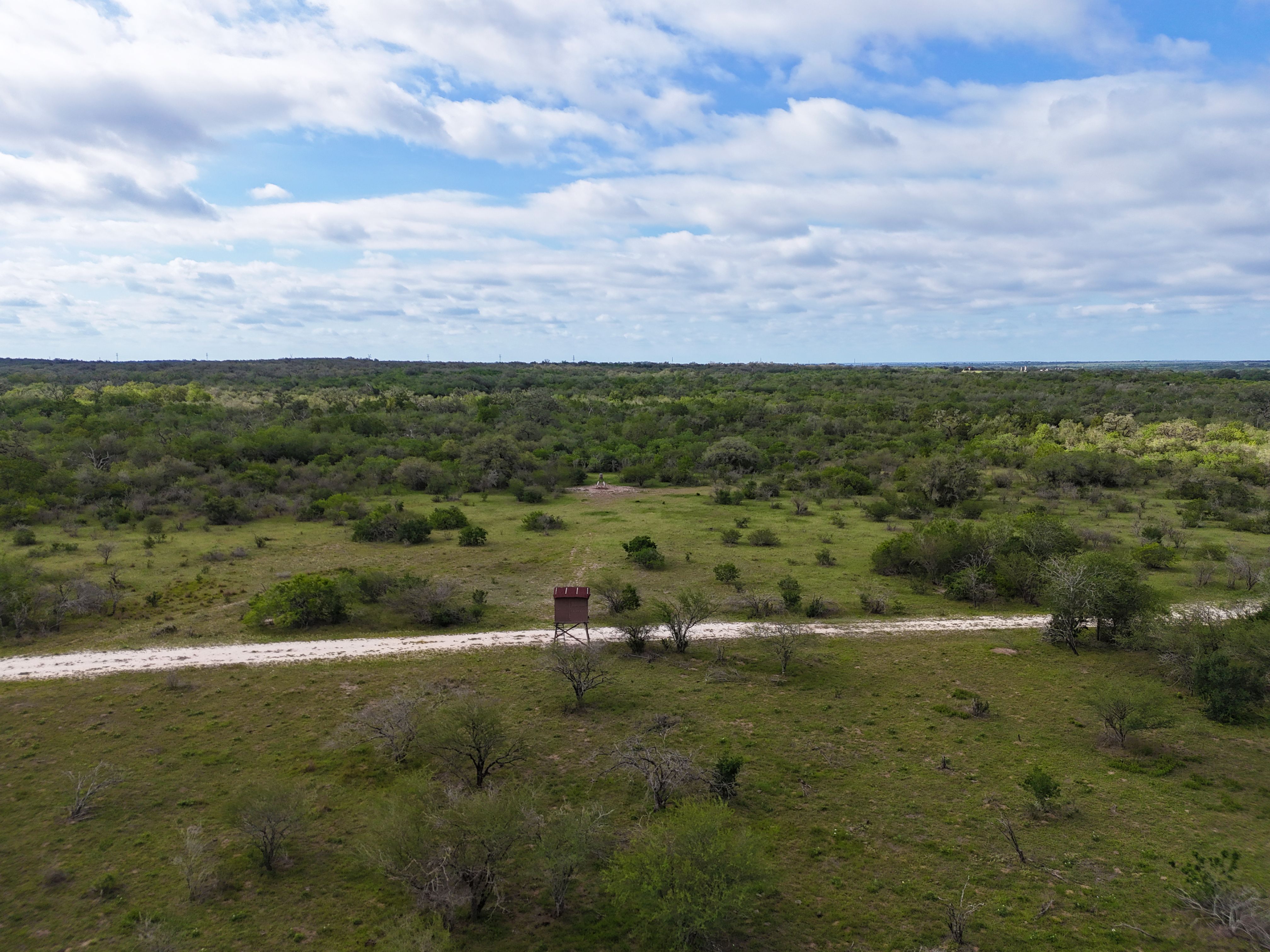  810+/- Acre Cabeza Creek Ranch - 物件實景