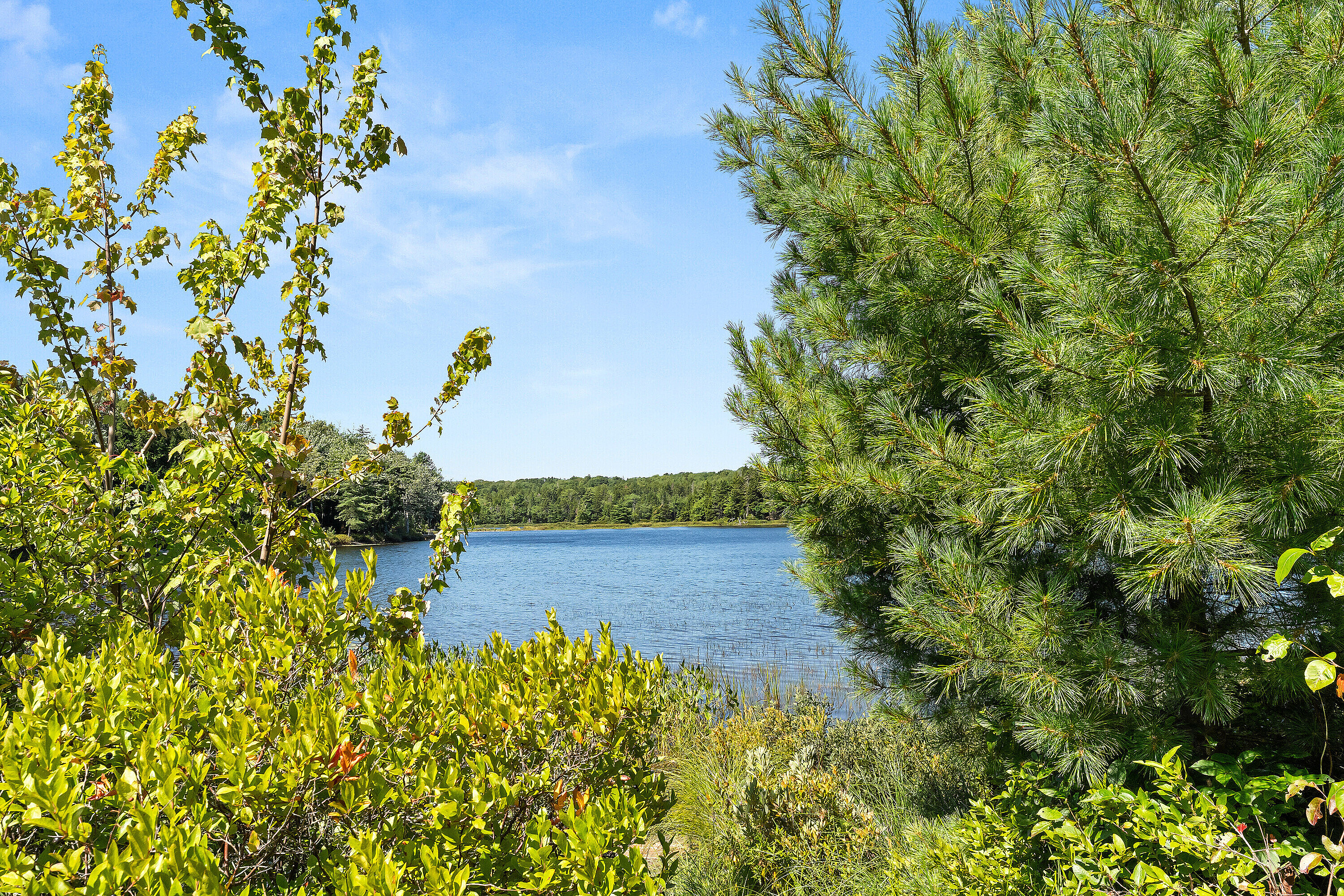  Resort-Style Family Home - 物件實景