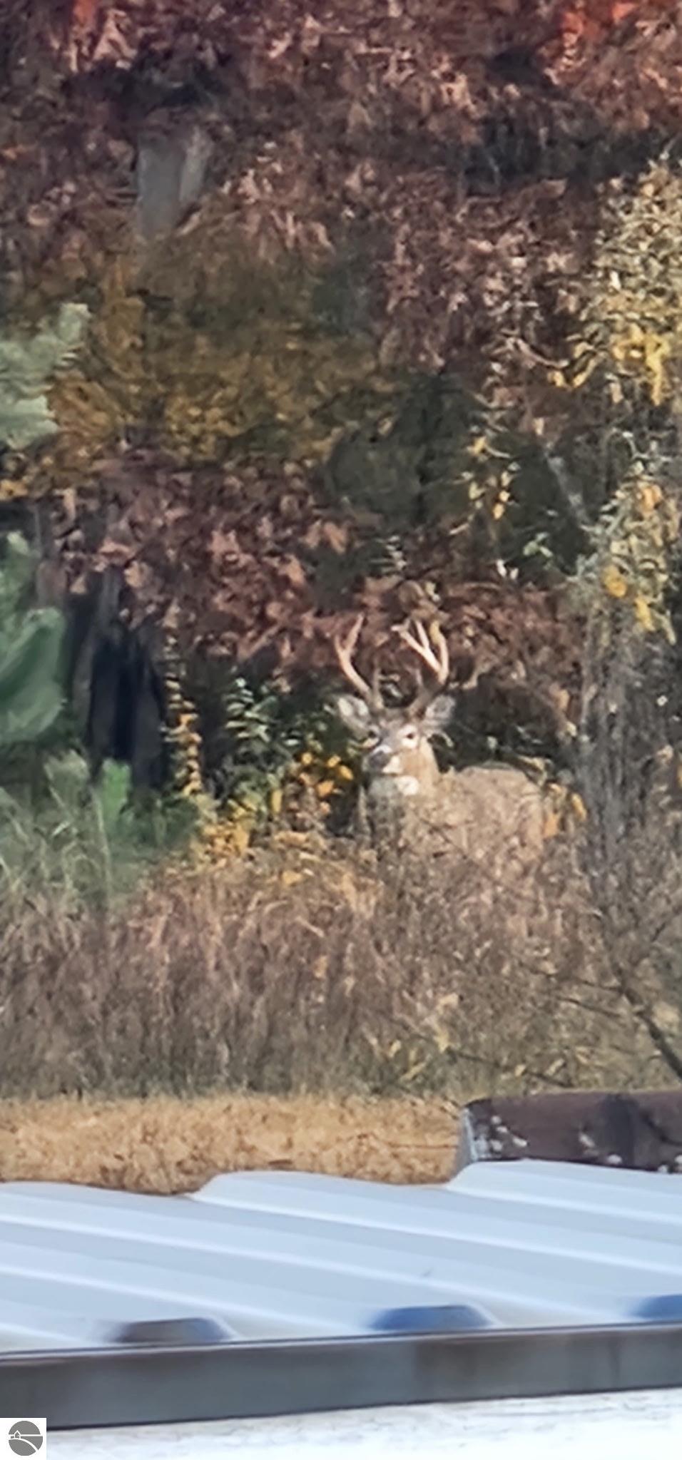 Vestaburg, Michigan, 48891, United States, 6 Bedrooms Bedrooms, ,3 BathroomsBathrooms,Residential,For Sale,1976935