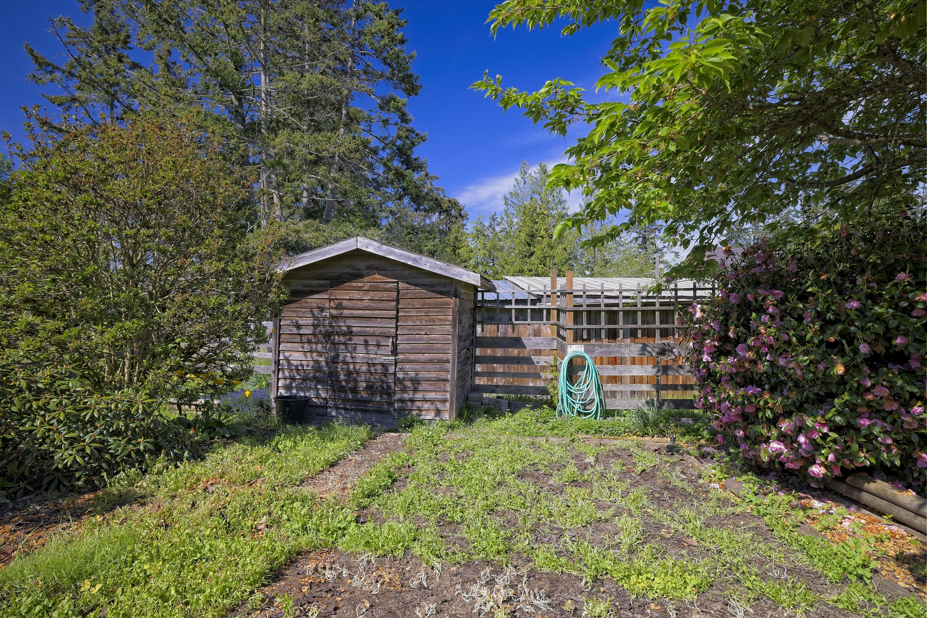  Bullfinch Farm - 物件實景