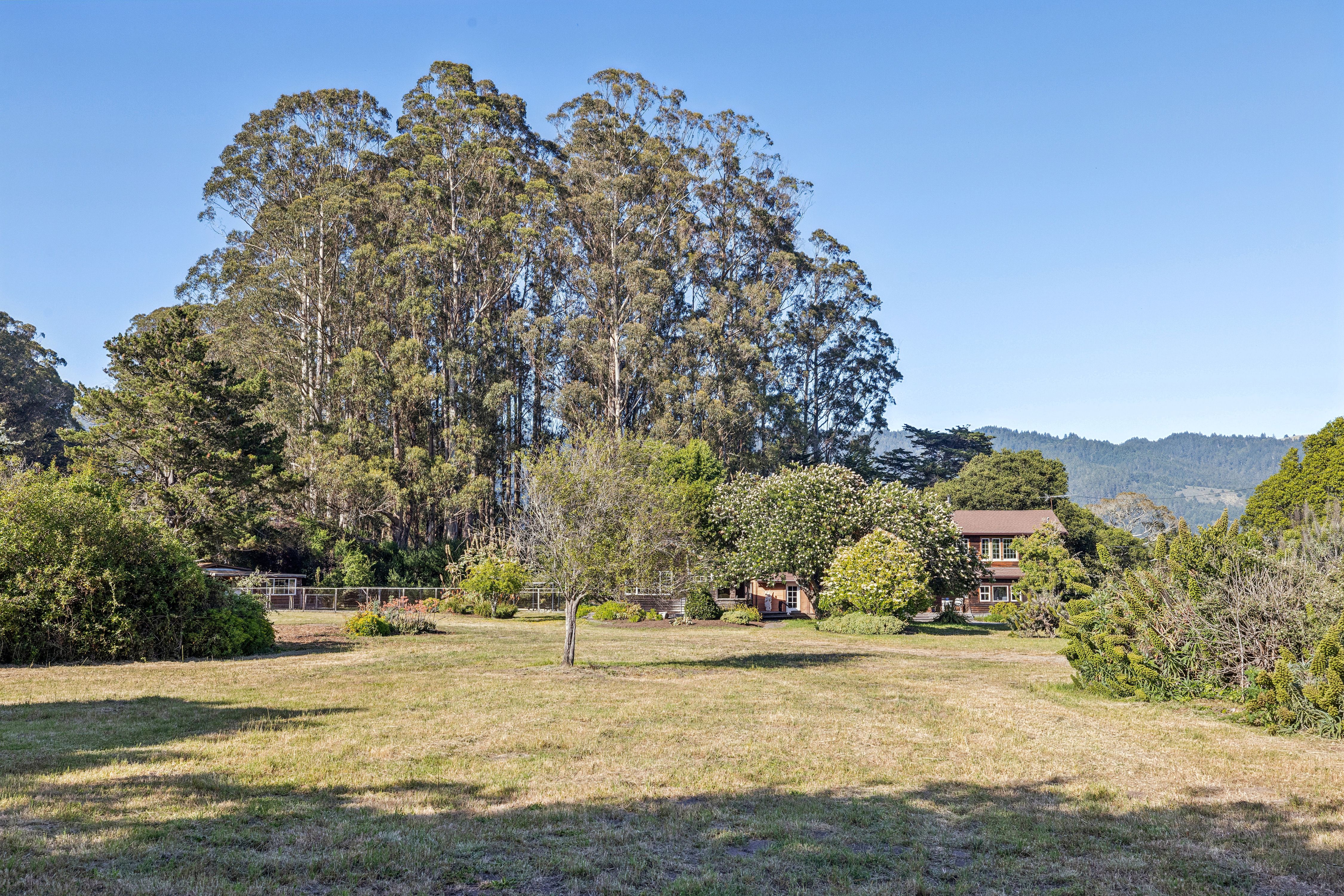  Bolinas Legend – Oldest Residence on Coastal Marin - 物件實景