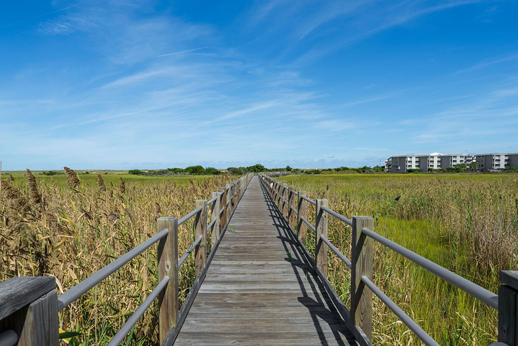  438 Oceana Way, Carolina Beach, NC 28428 - 物件實景