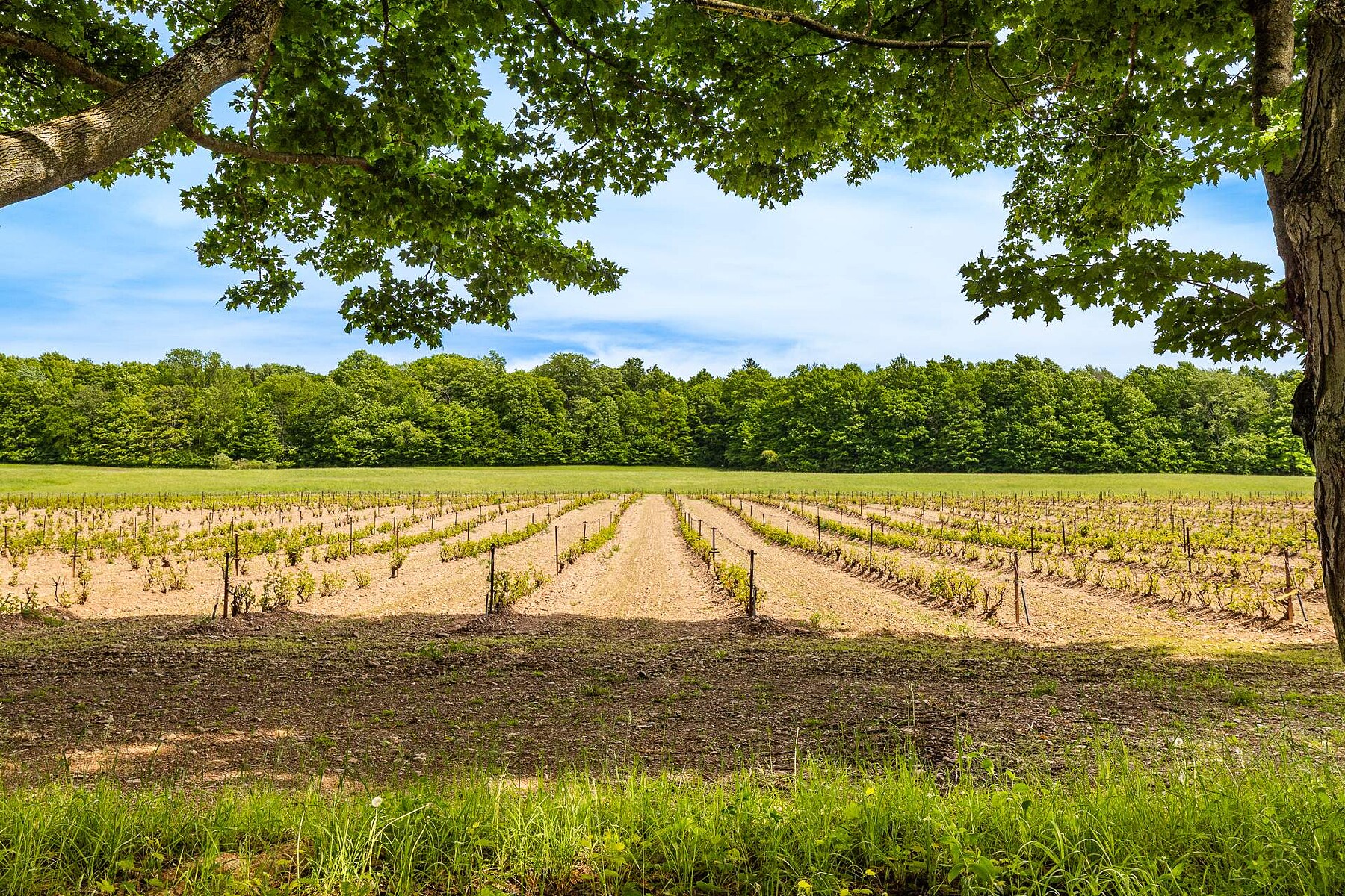  Dunham, Eastern Townships - 物件實景