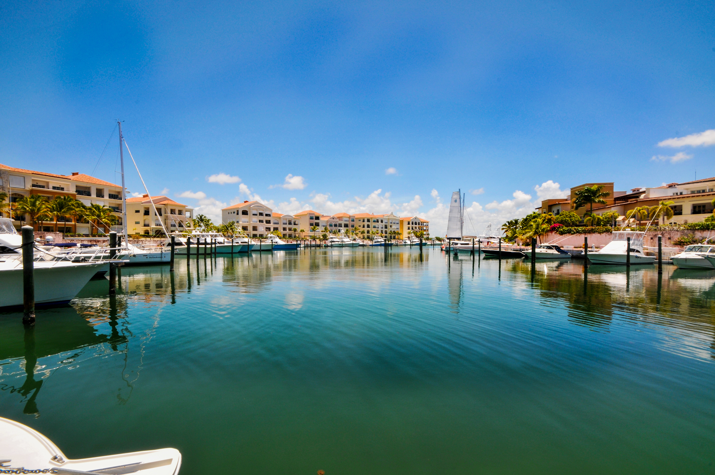 Perfect Location Residential Lot in Cap Cana: Your, Cap Cana, DO, ,Land,For Sale,Perfect Location Residential Lot in Cap Cana: Your,1389940