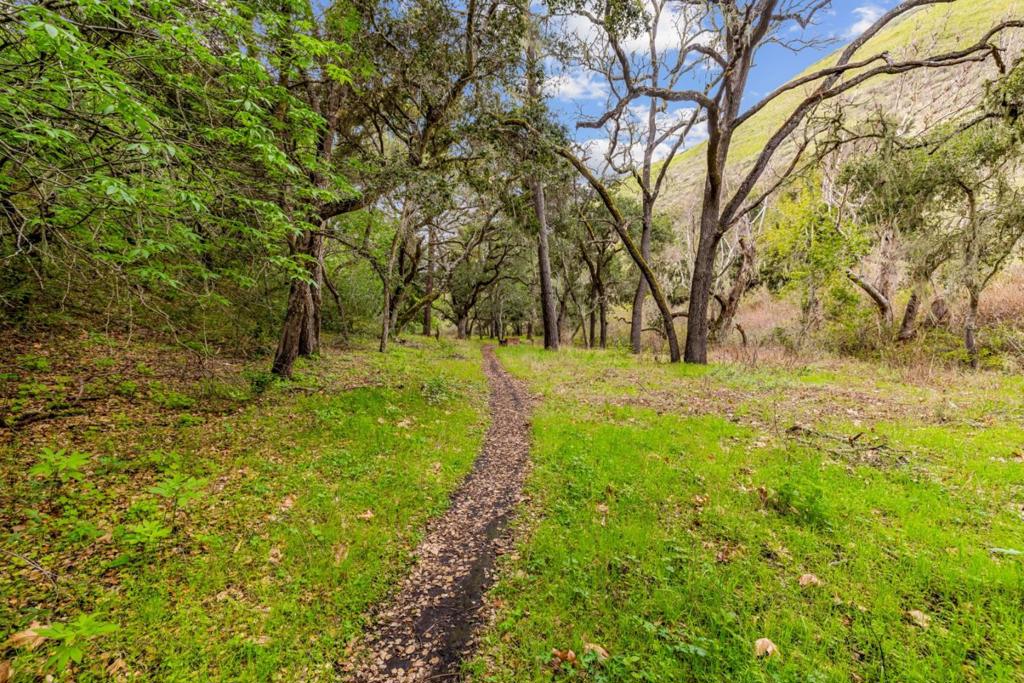 Salinas, California, 93908, United States, ,2 BathroomsBathrooms,Residential,For Sale,2006141