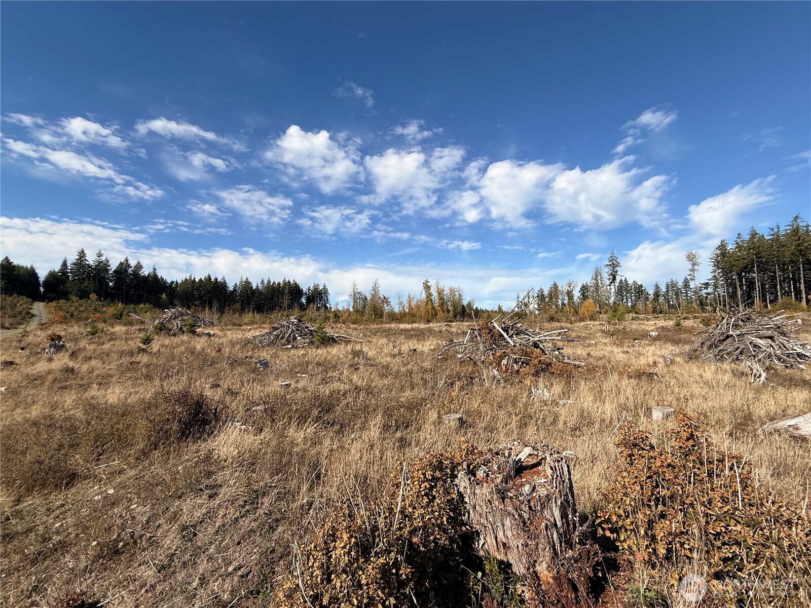 Rainier, Washington, 98576, United States, ,Land,For Sale,1998419