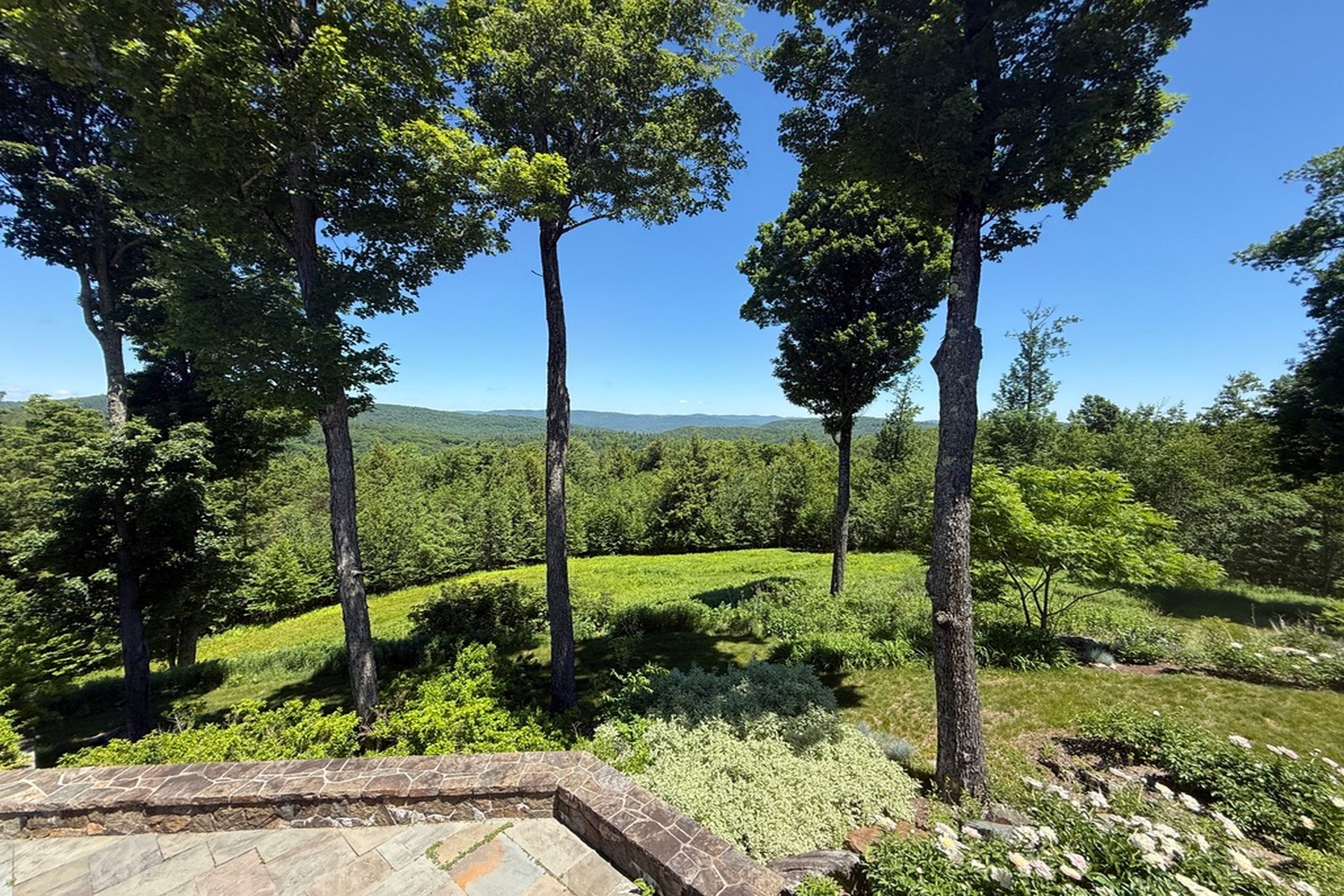  816 Black Bear Road - 物件實景