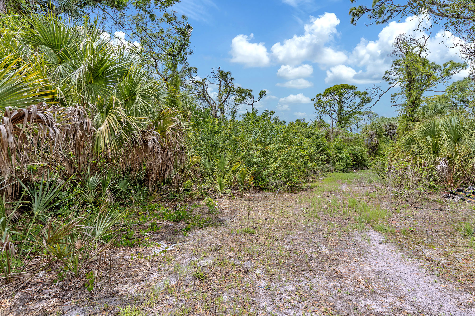  VENICE FARMS - 物件實景